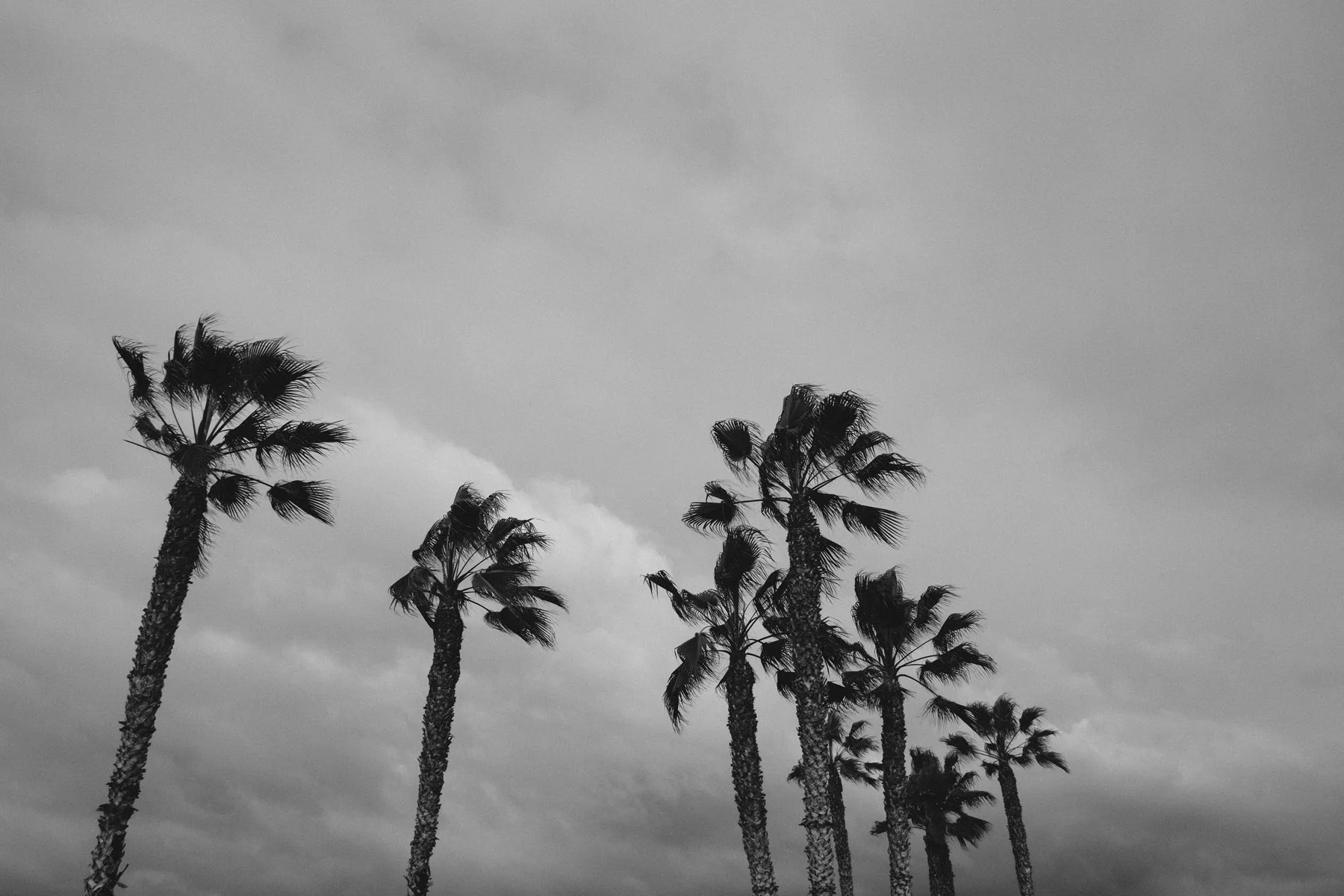 todos-santos-baja-california-65.jpg
