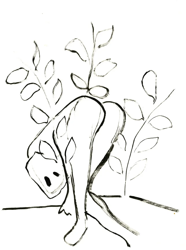 Pussy Willows