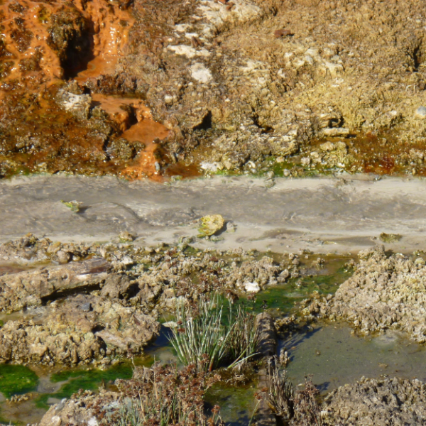 ROT for saxophone quartet