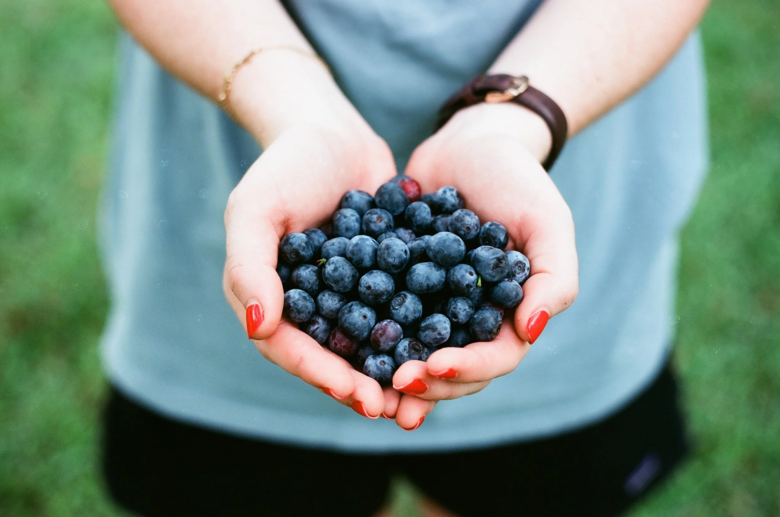 blueberryhands.jpeg