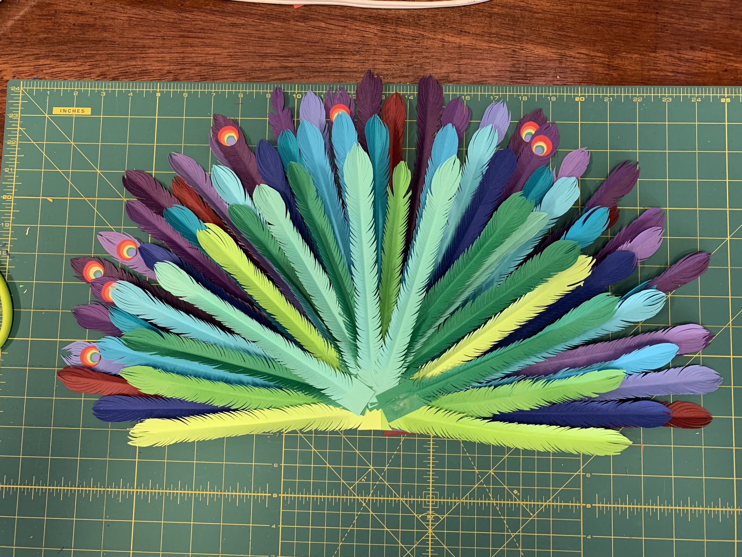 fullsizeoutput_412.jpeg