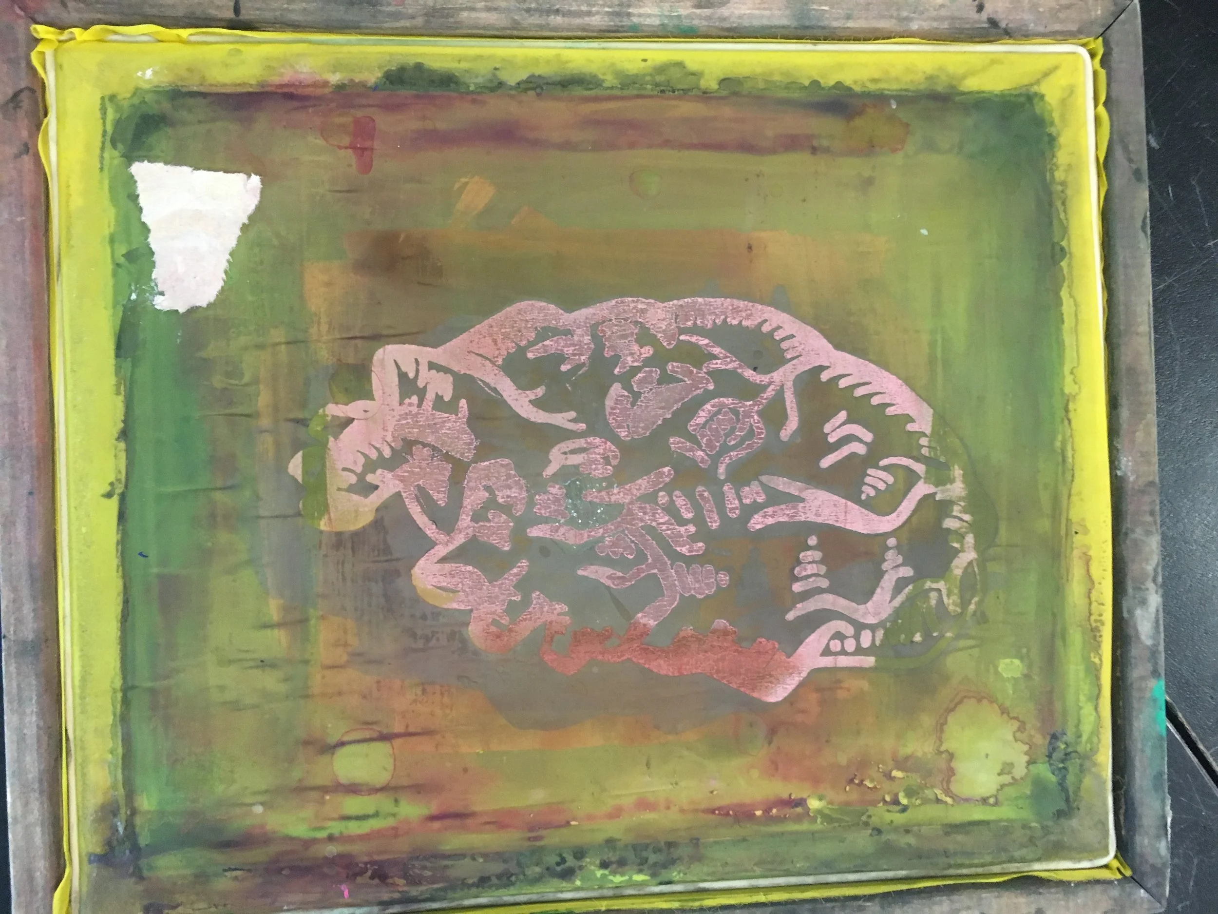 Art on the walls at SLCSE.