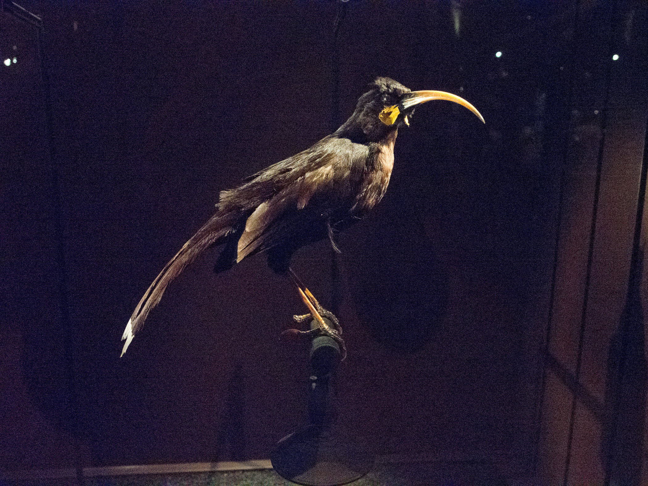 15HuiaP5250353.jpg