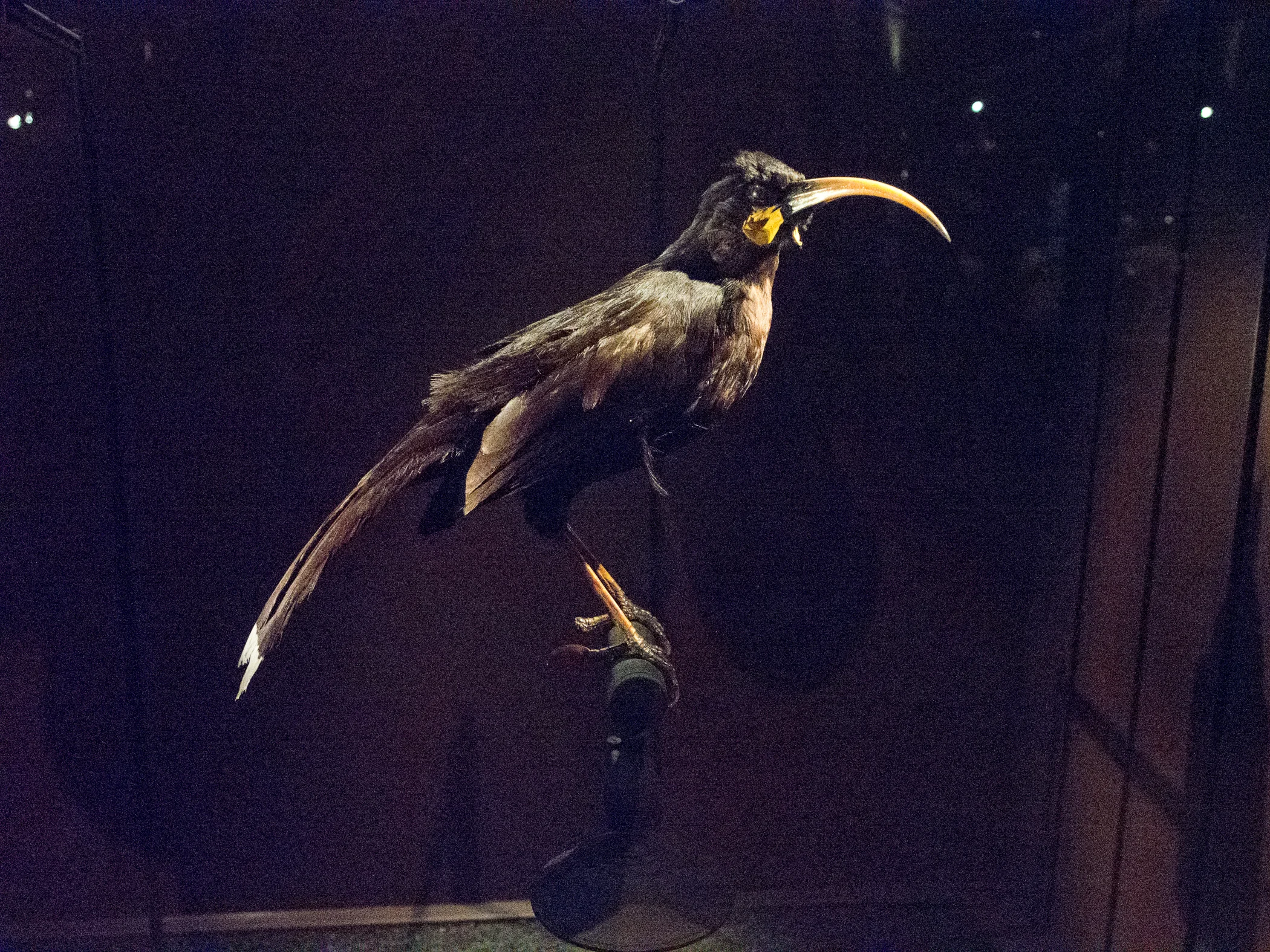15HuiaP5250353.jpg