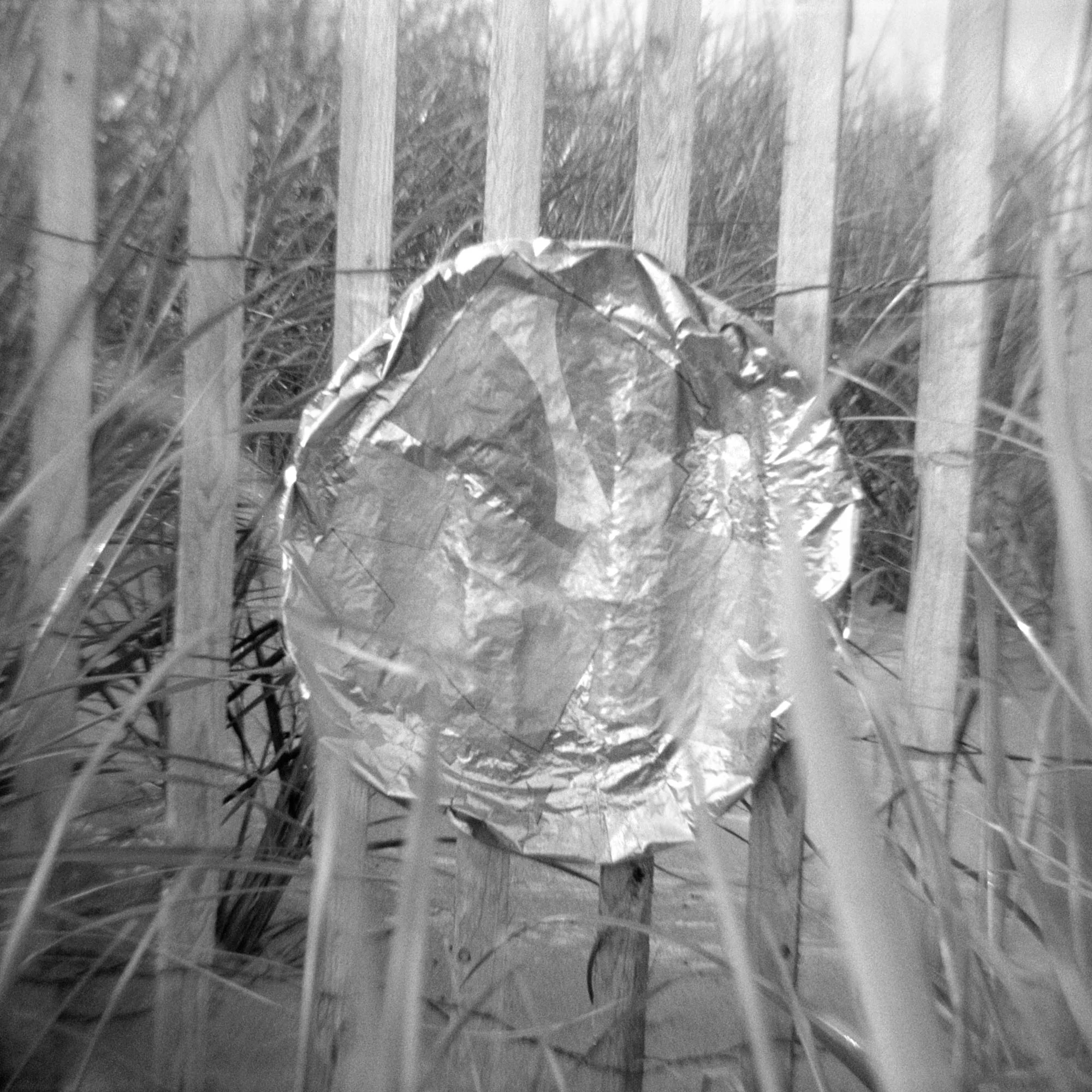 sg.mylar.21.jpg
