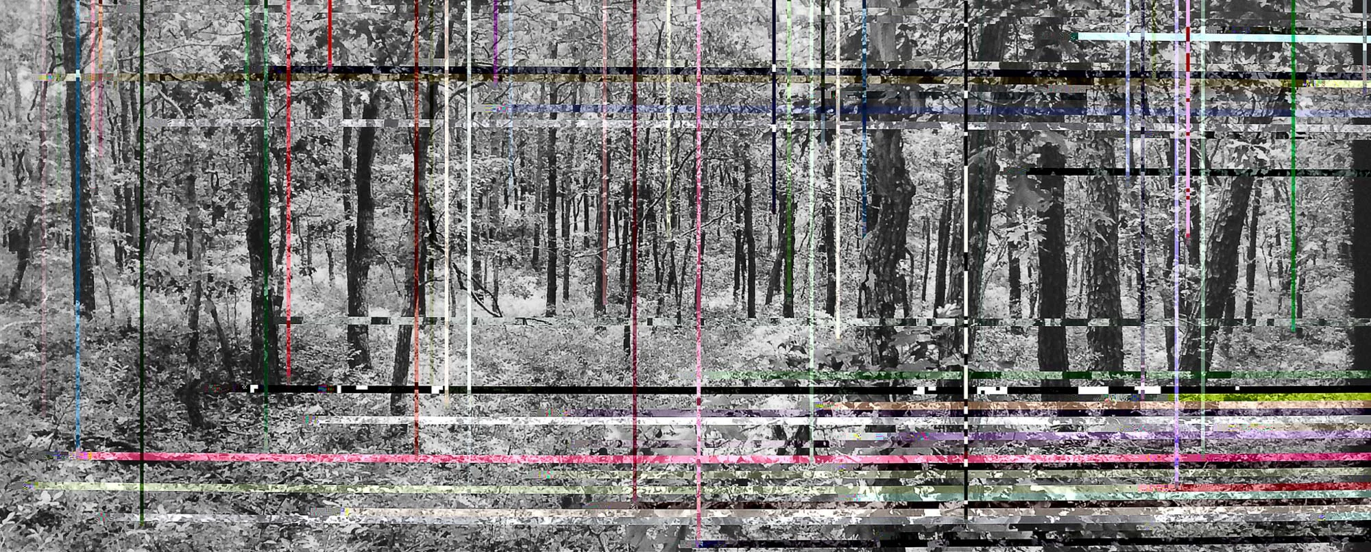 05.FullSizeRender 14 adjusted plad.jpg