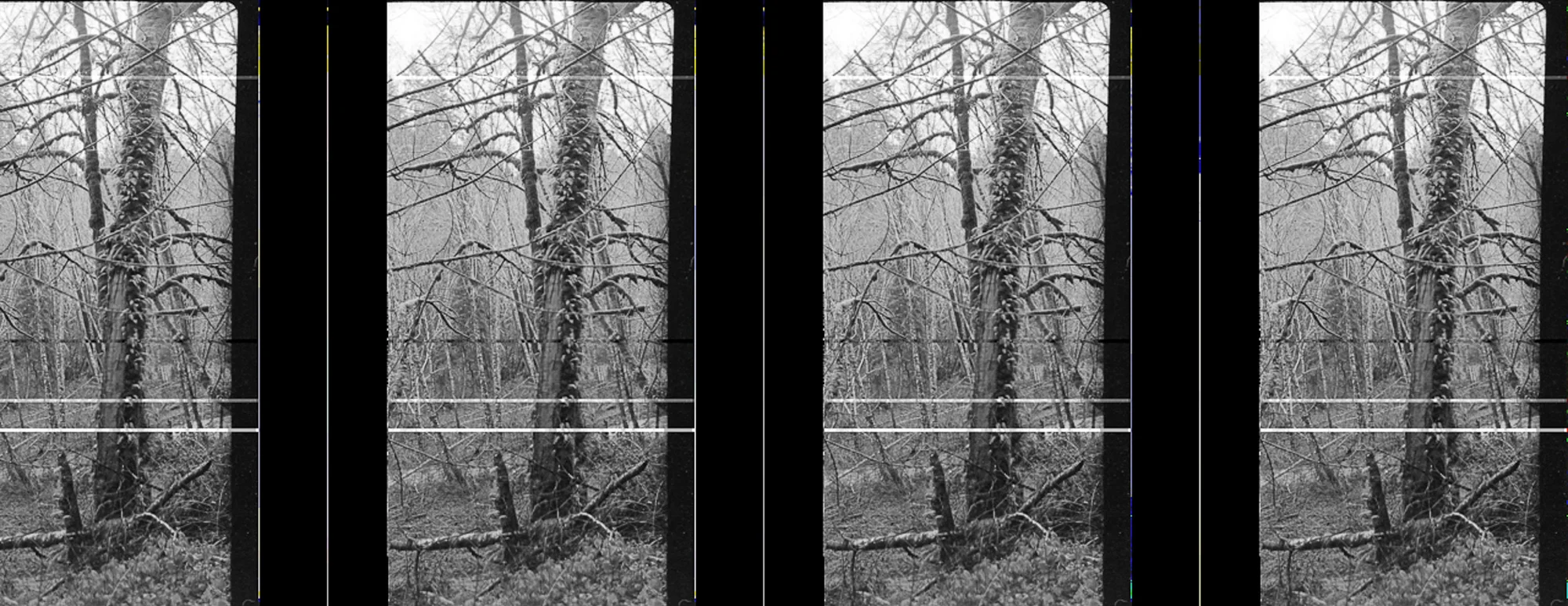 37.vaschon 2 color flip-toomuch.blackrepeat.jpg