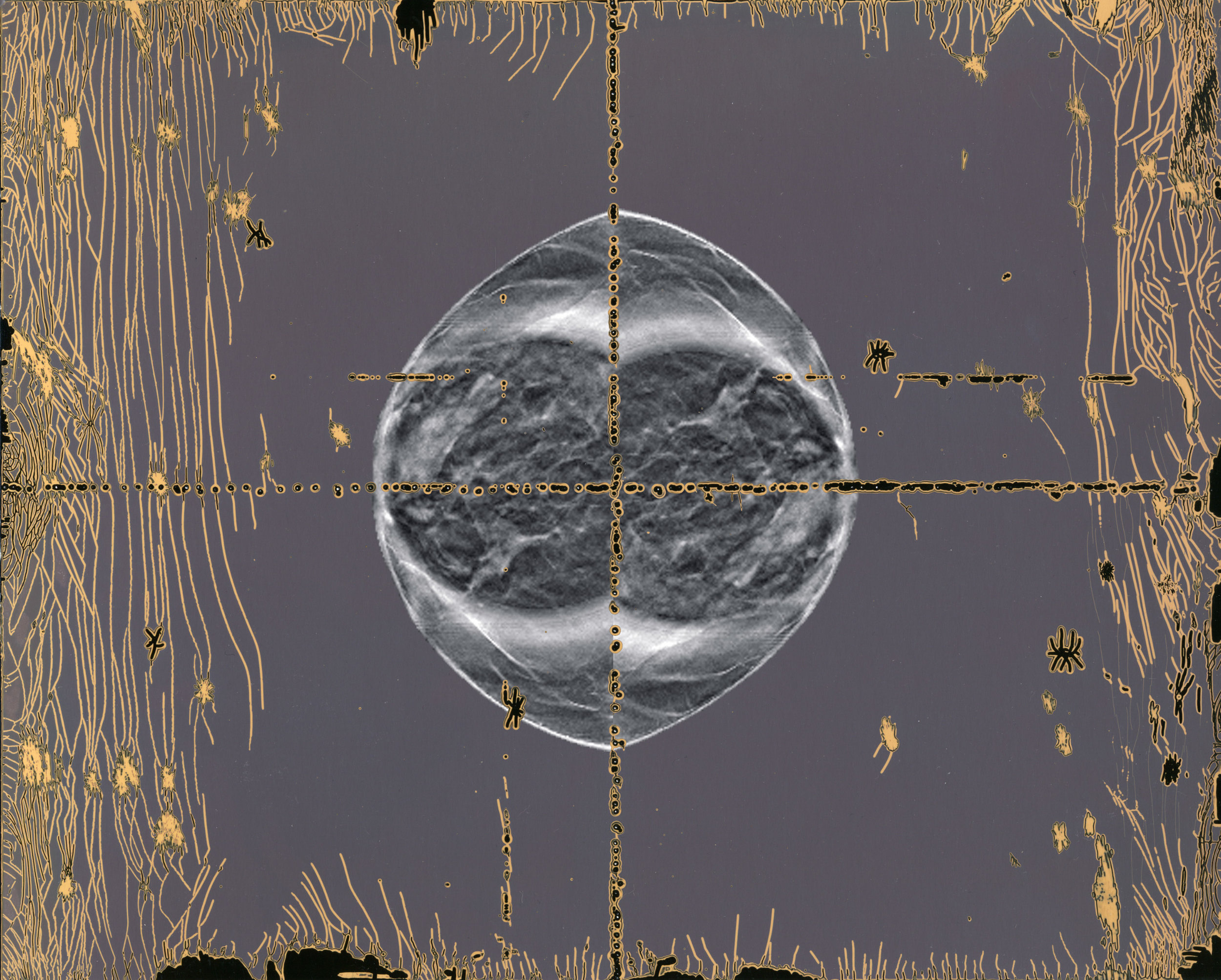 Scan40crosshairs2.jpg