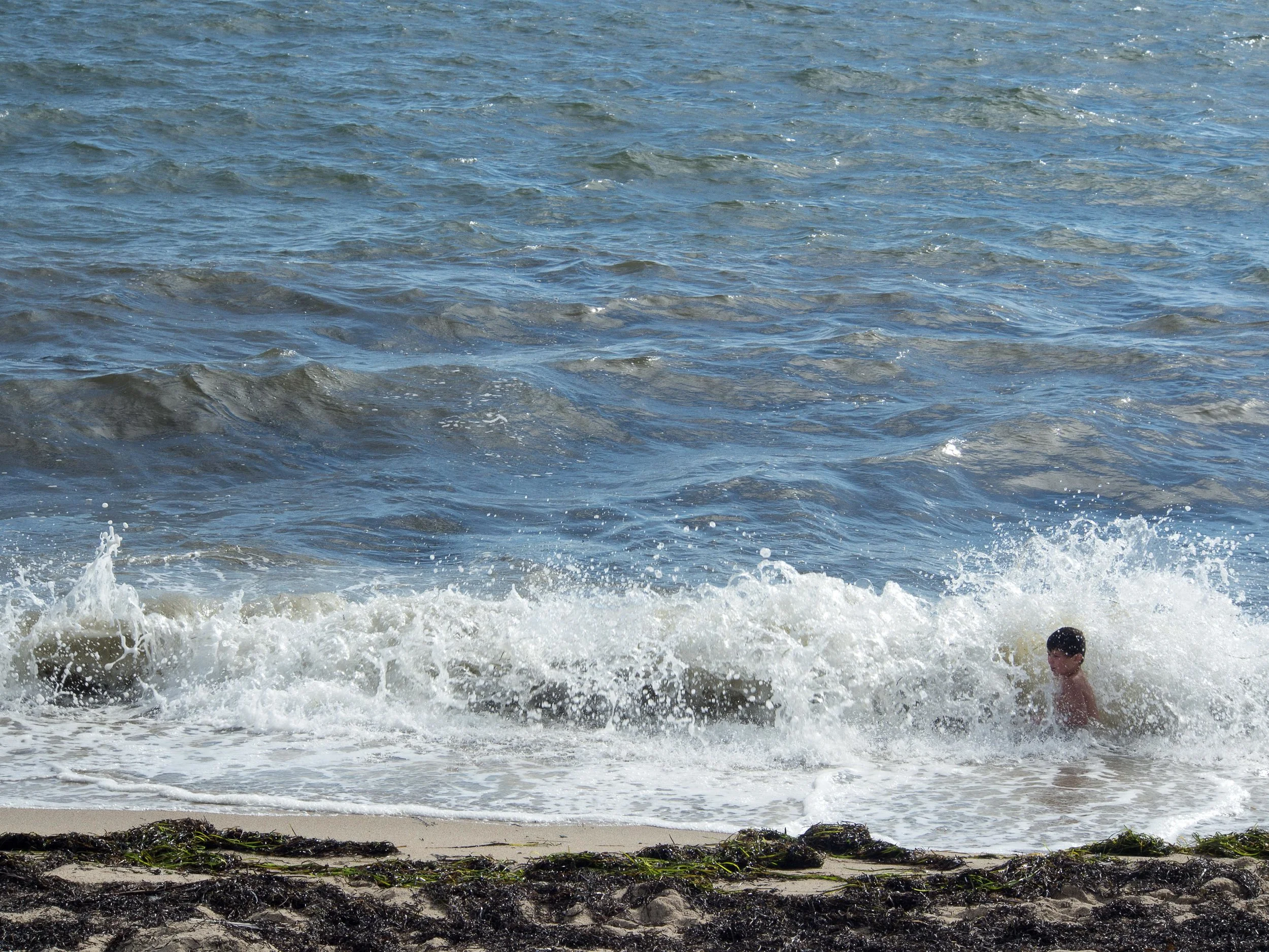 elliotwaveP8250306.jpg