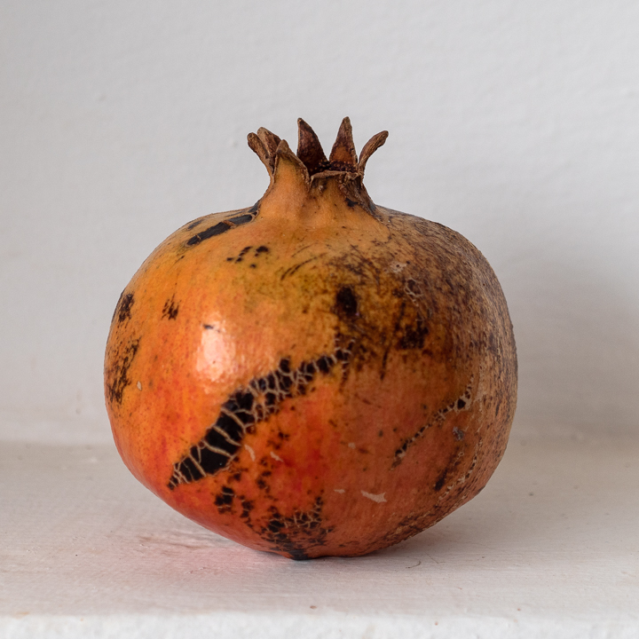 pom4.PA130061.jpg
