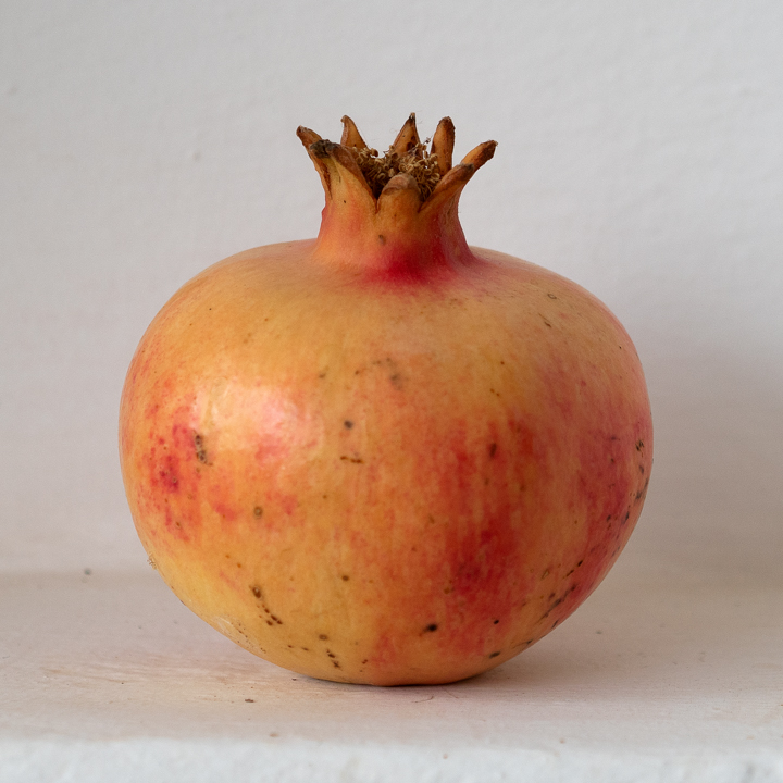 pom11.PA130077.jpg