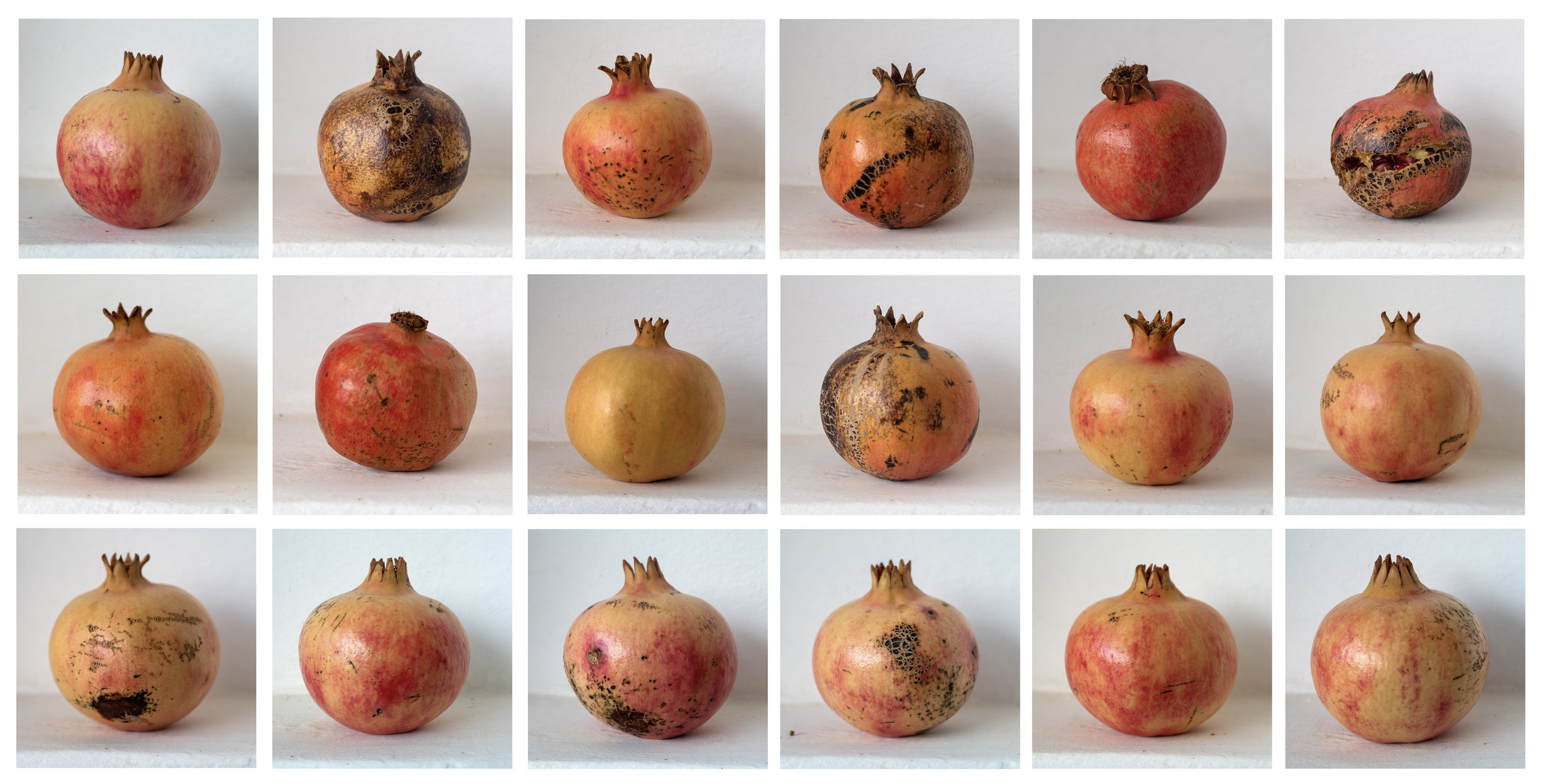 pomegranate x 18.jpg