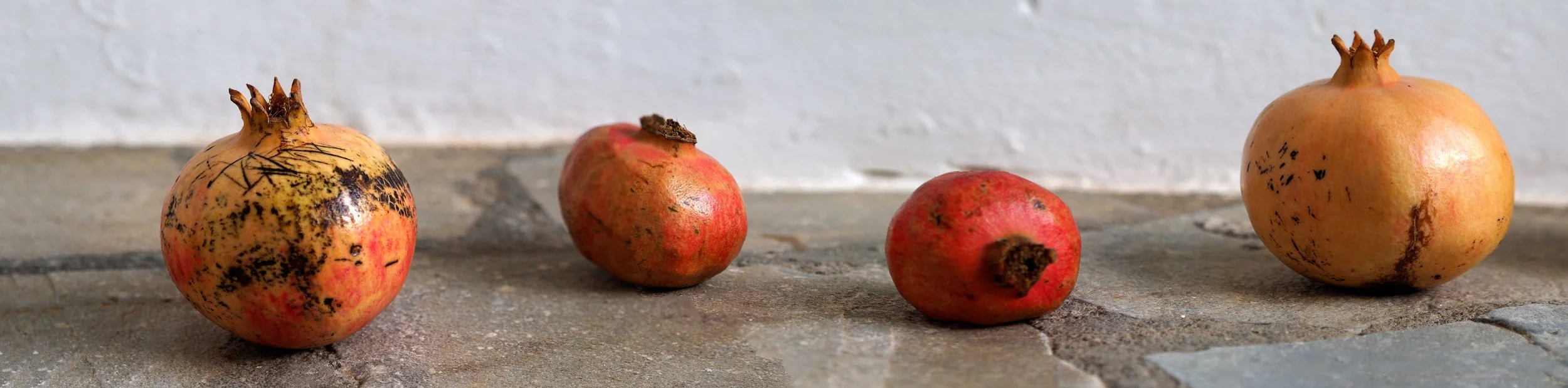 pomegranate panorama.1.jpg