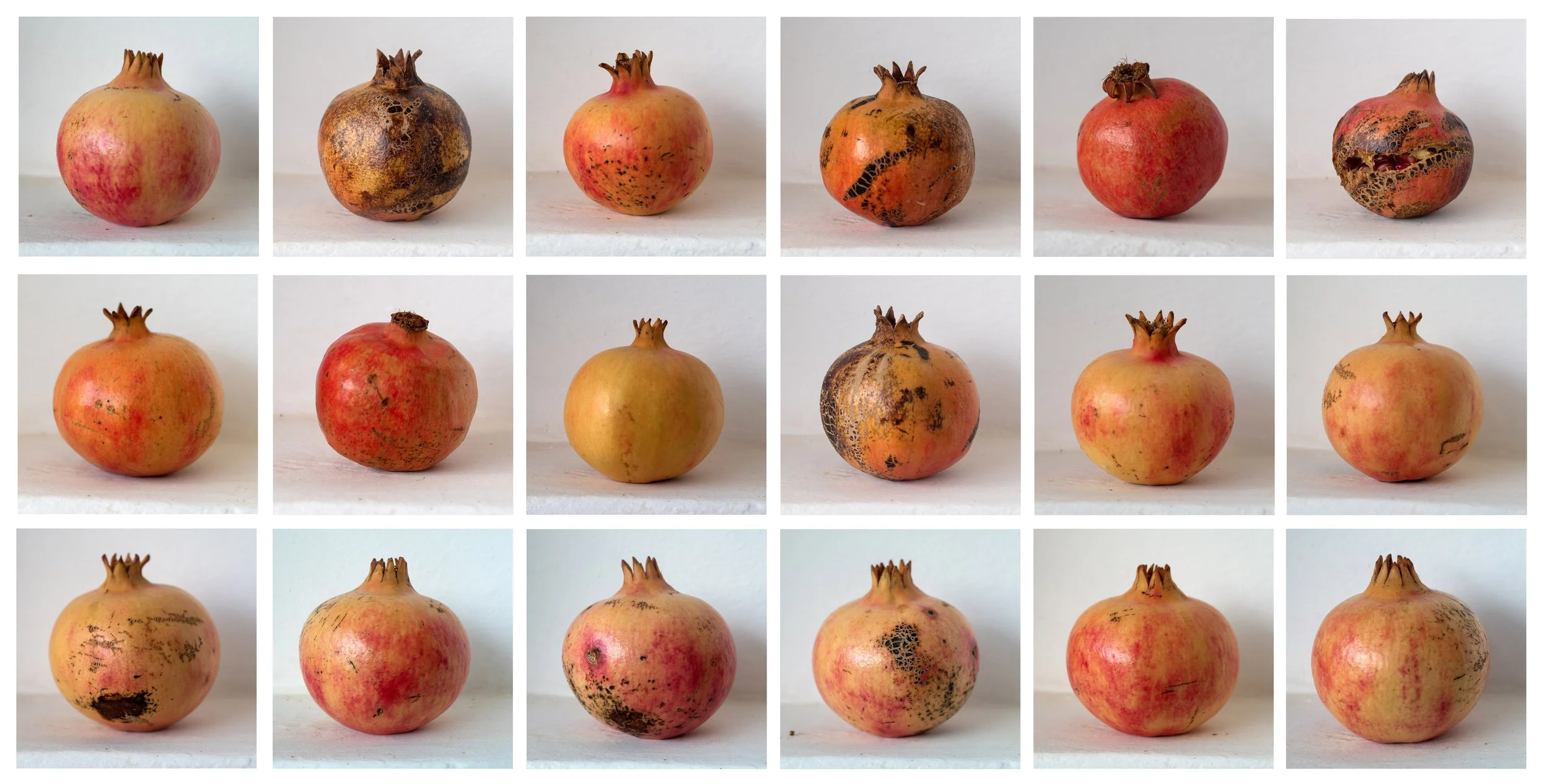 pomegranate x 18-2.jpg