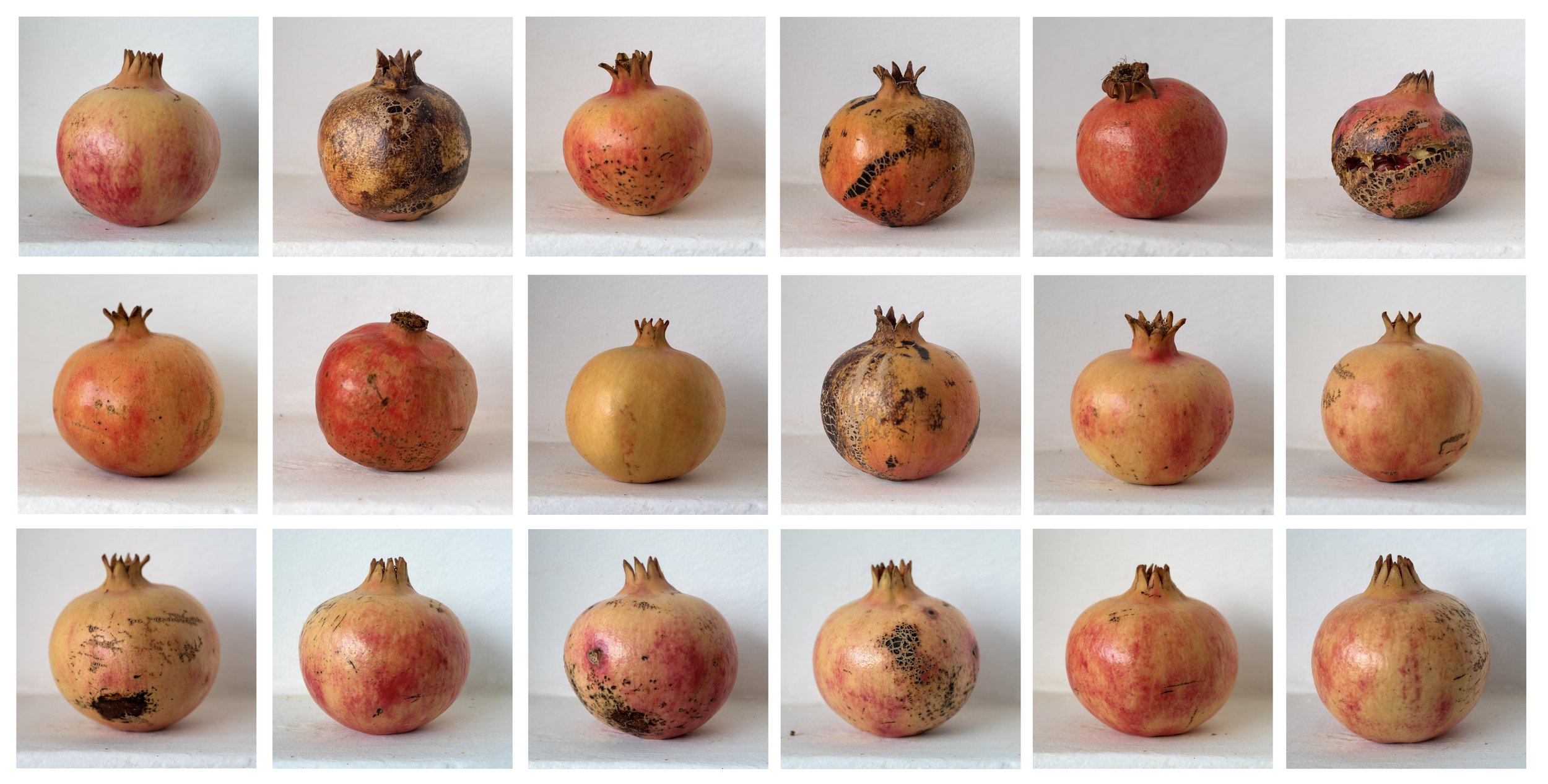 pomegranate x 18.jpg