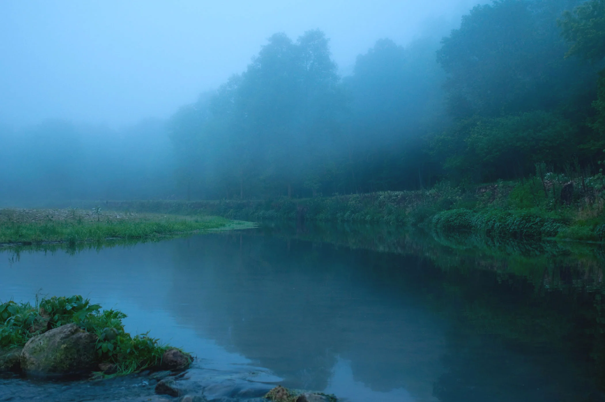 DSC_0967.jpg