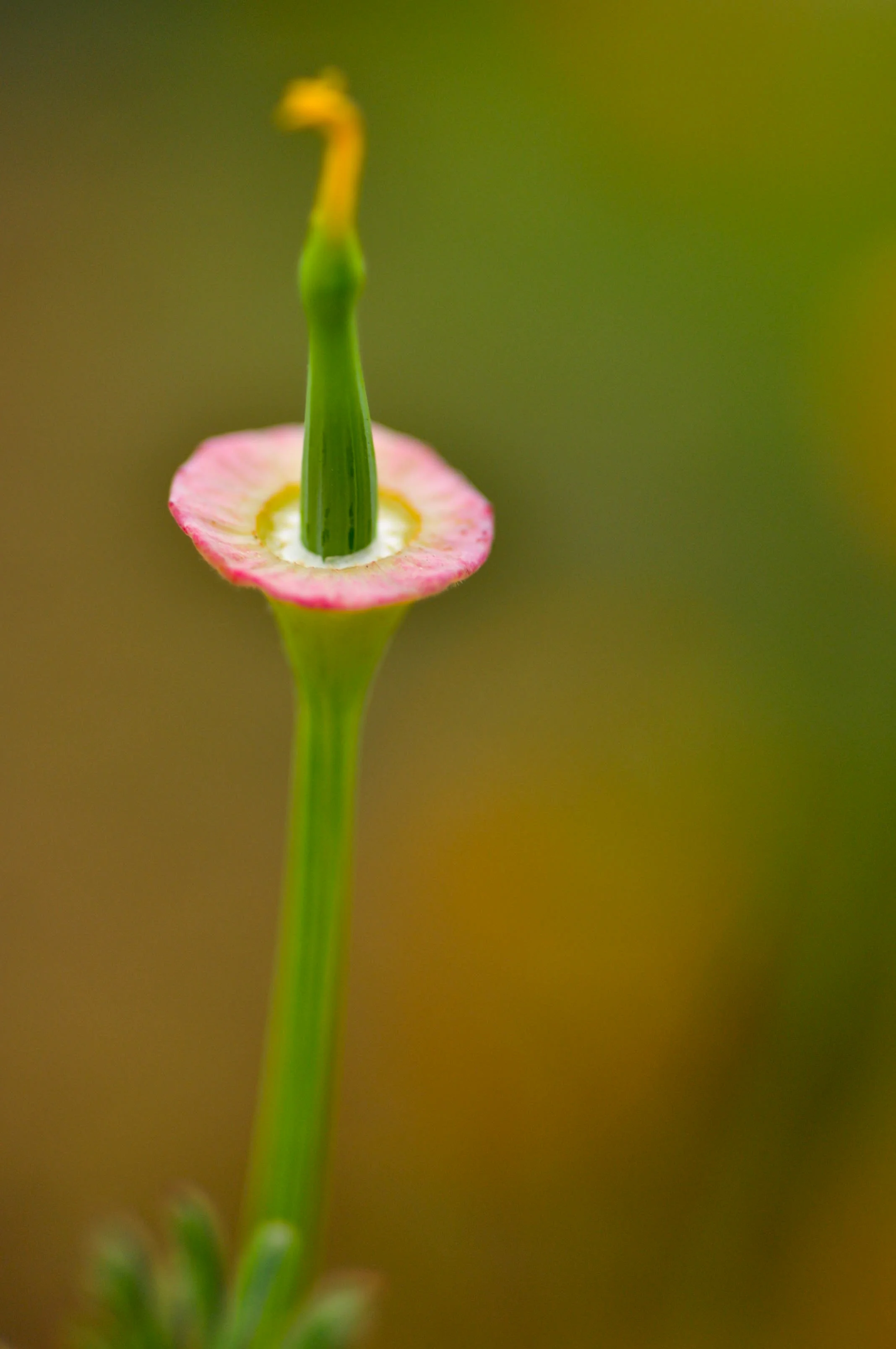 DSC_0109.jpg