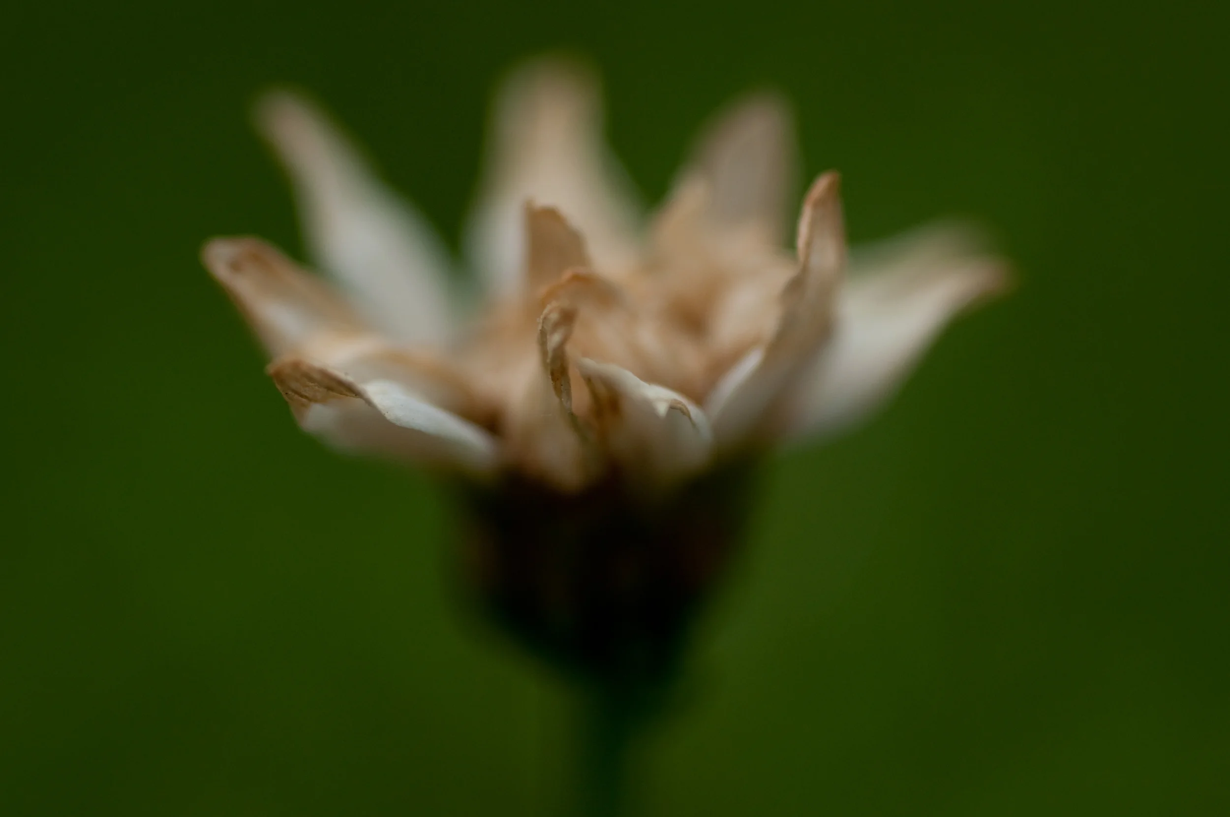 DSC_3198.jpg