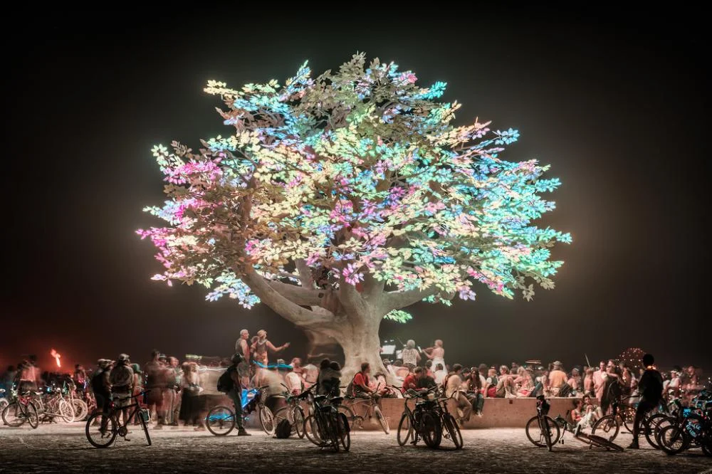 Tree of Tenre pic 3 .jpg