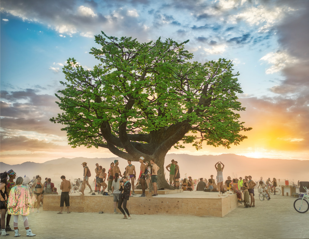 Tree of Tenere Pic 9 .jpg