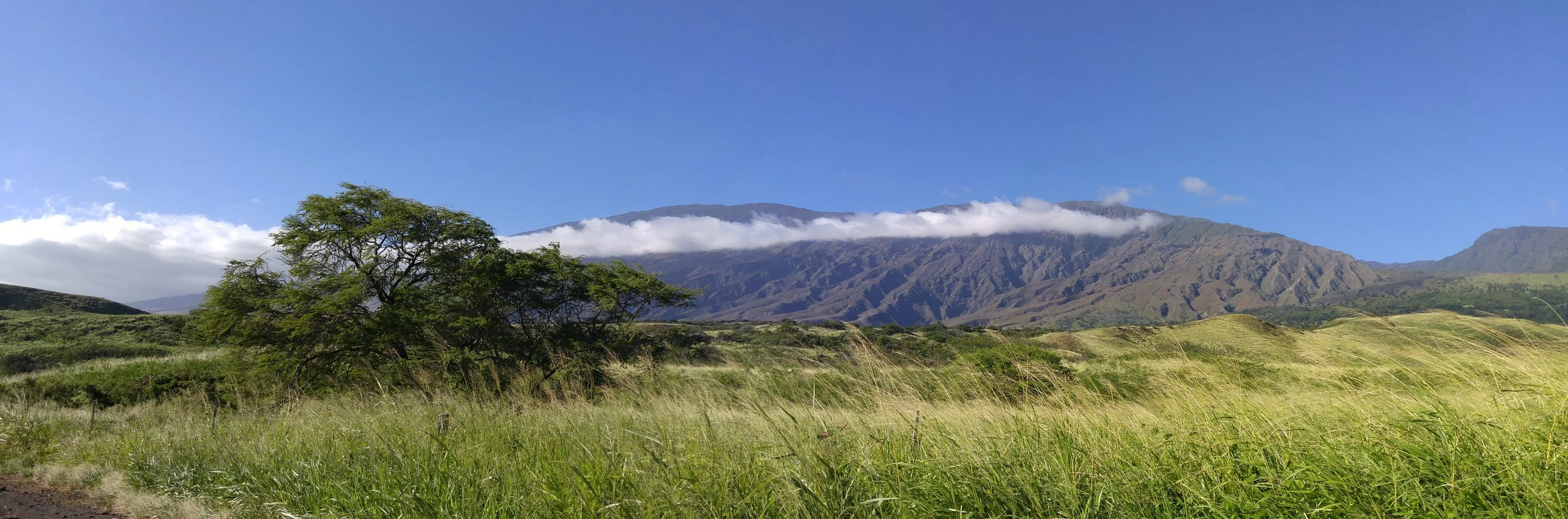 20151202_150427_Pano.jpg