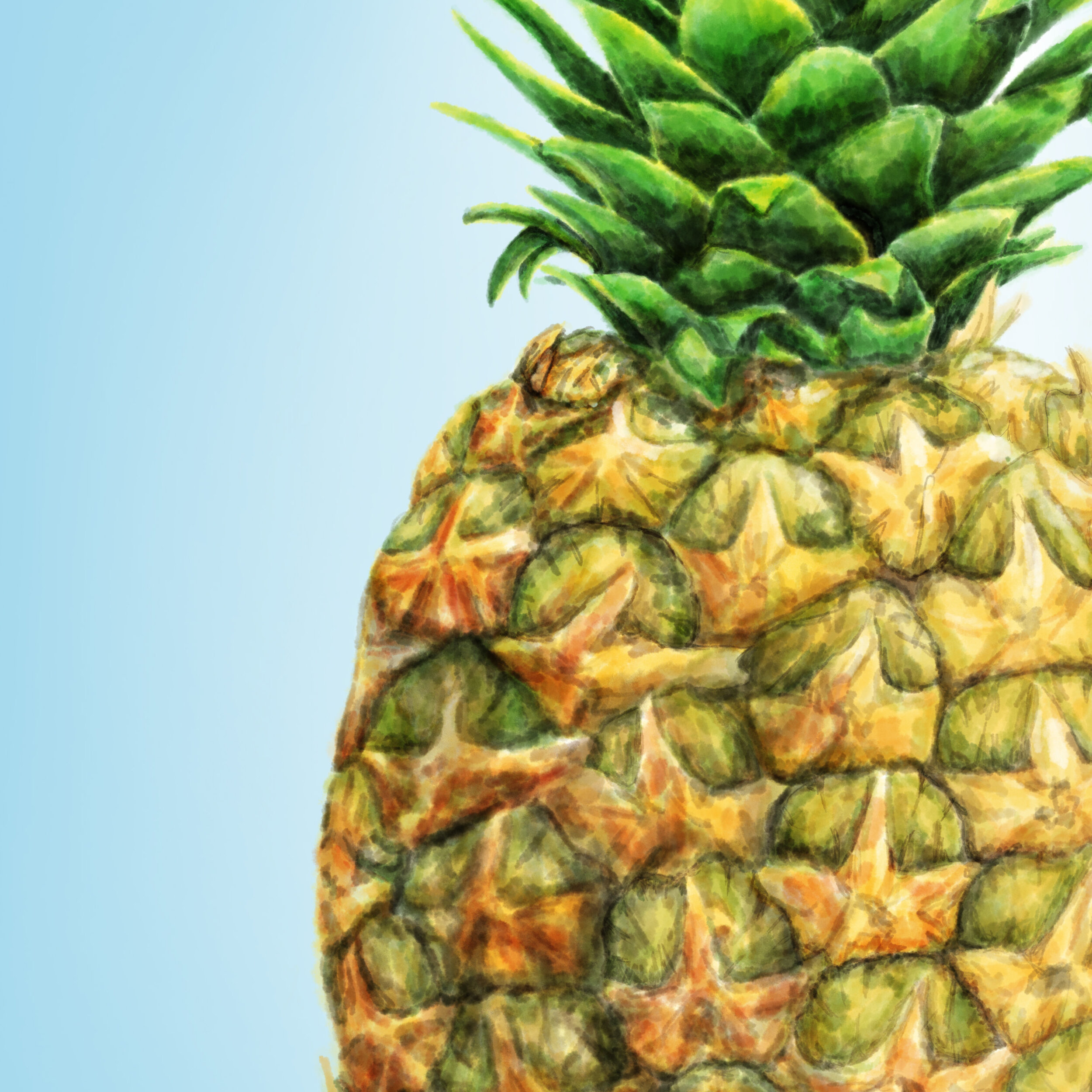 Pineapple_sqr.jpg