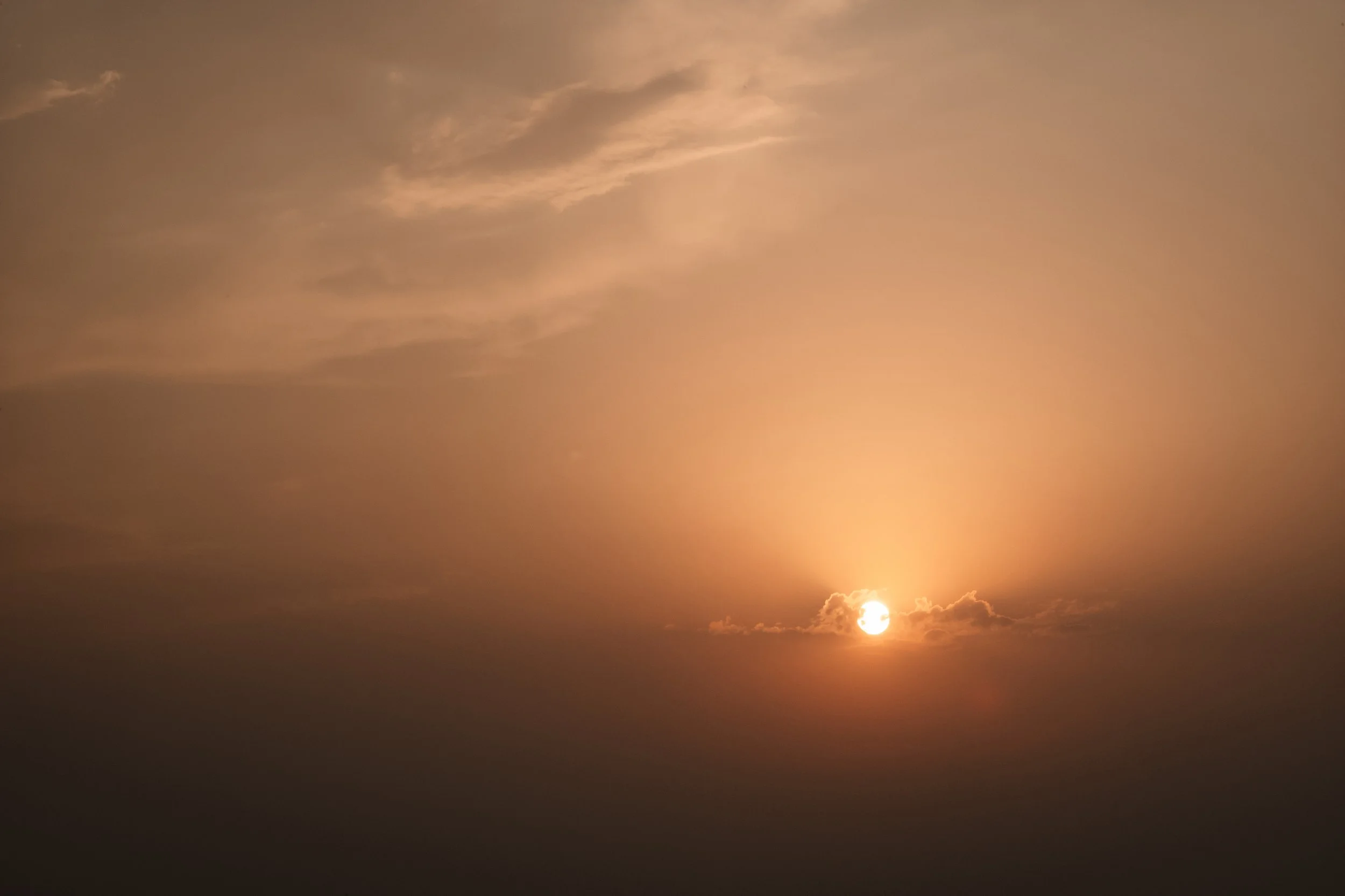 nosajulia_preview_jnp_55.jpg