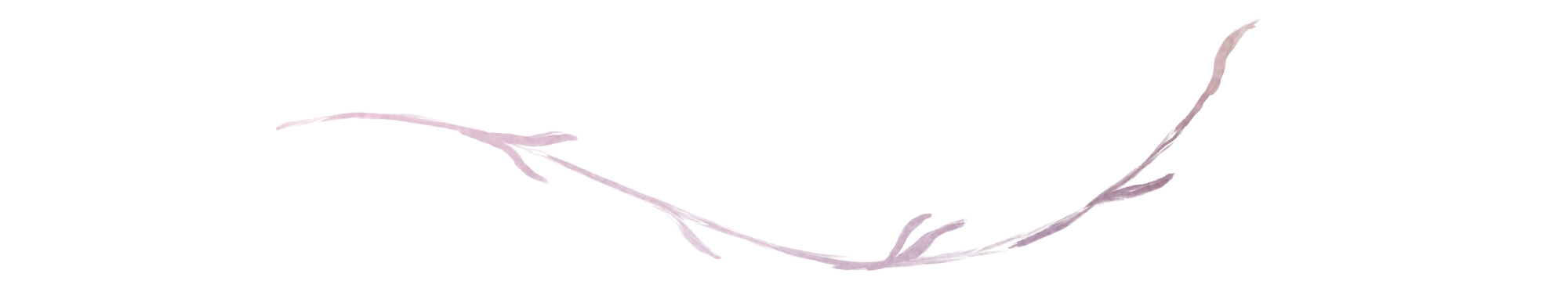 Taylor Divider 3.png