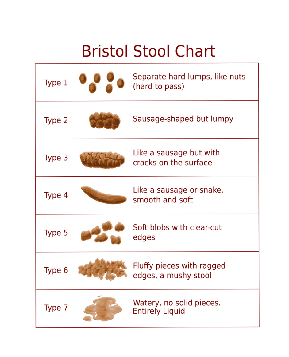 image of bristol stool chart pictures of stool