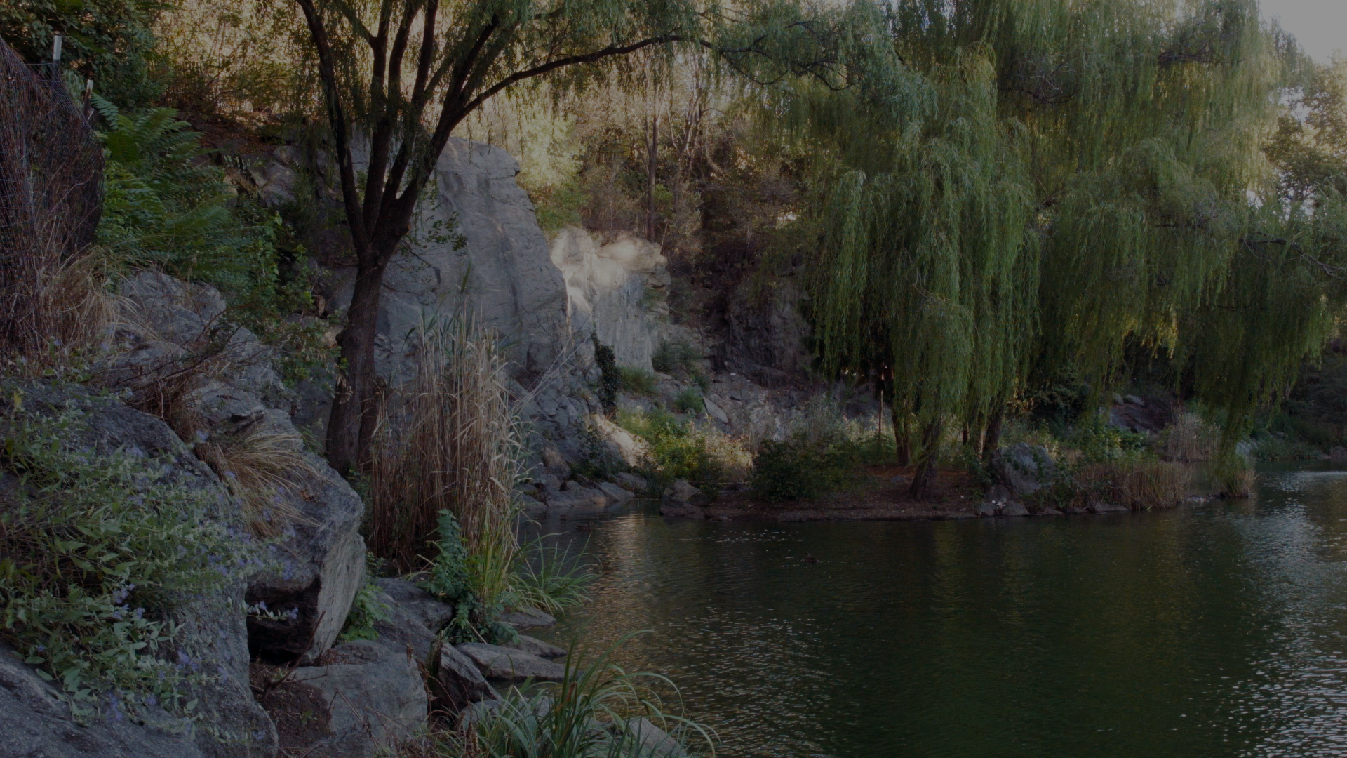 Central Park Darker.png