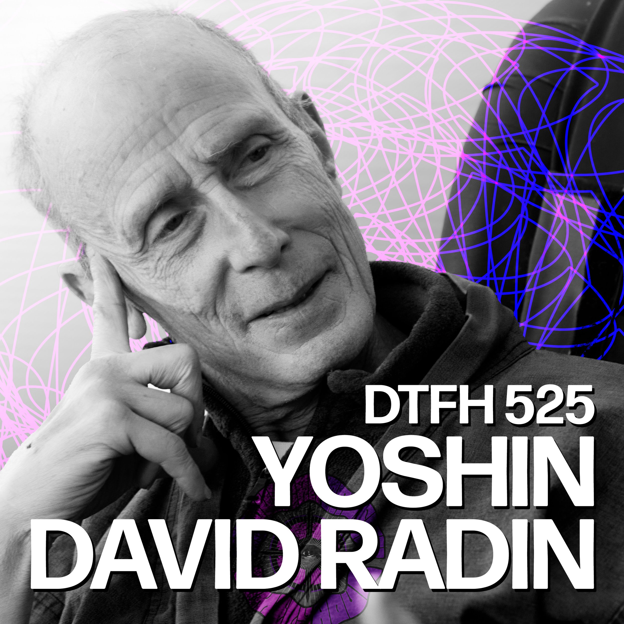 Yoshin David Radin Duncan Trussell Family Hour