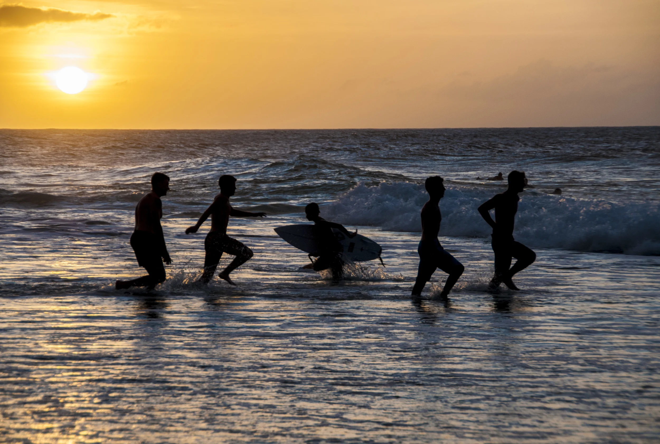 2.3.16_NorthShore_surf.jpg