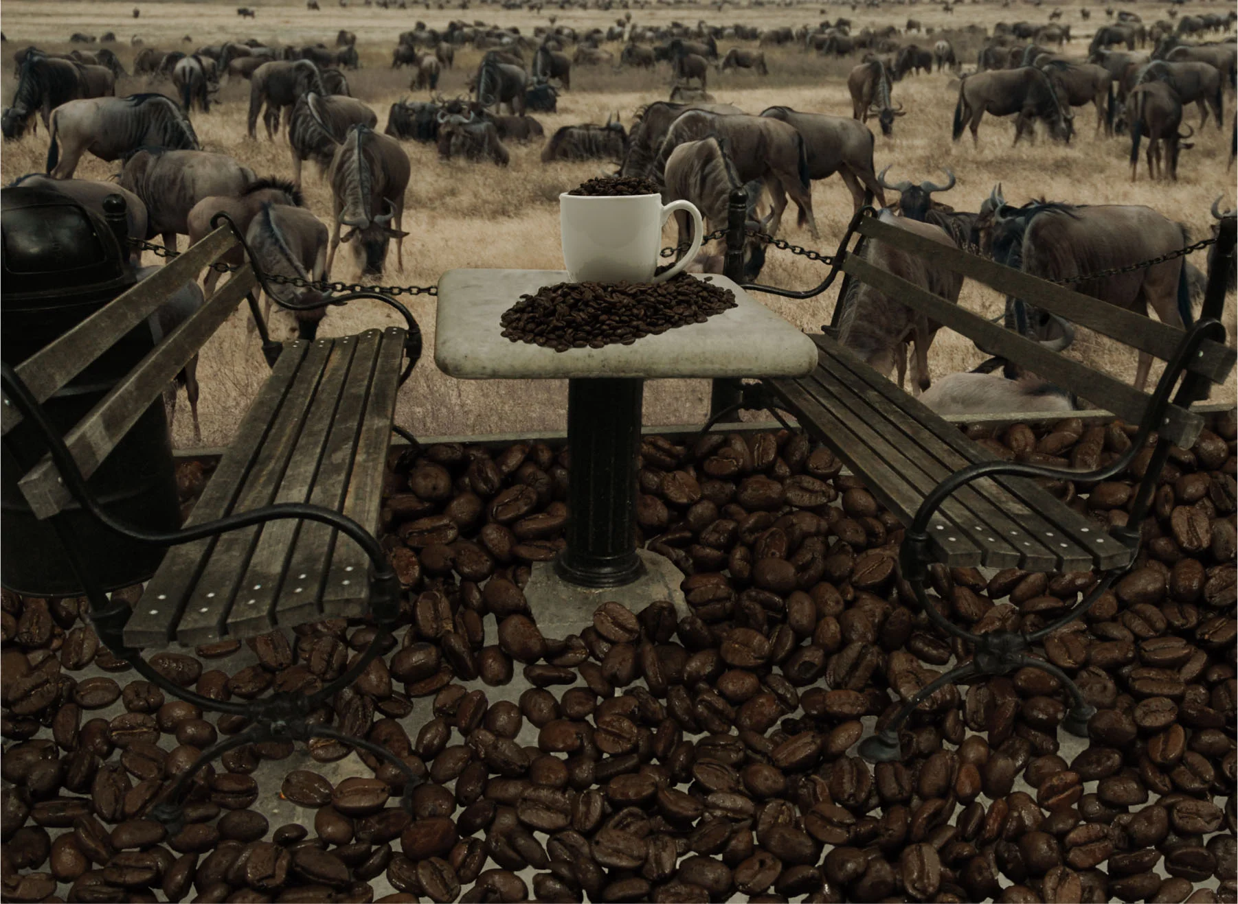 Local Cup of Coffee.jpg