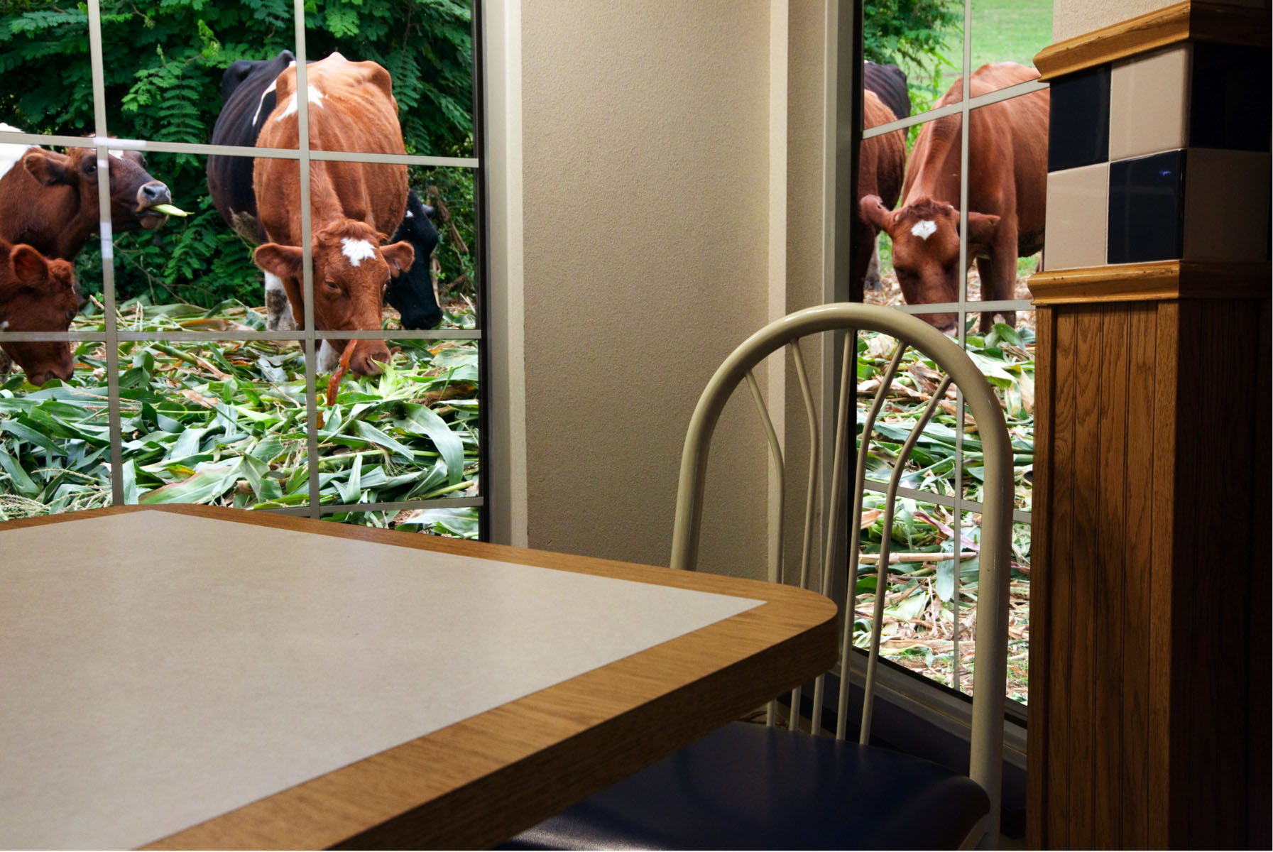 Neighborhood Diner.jpg