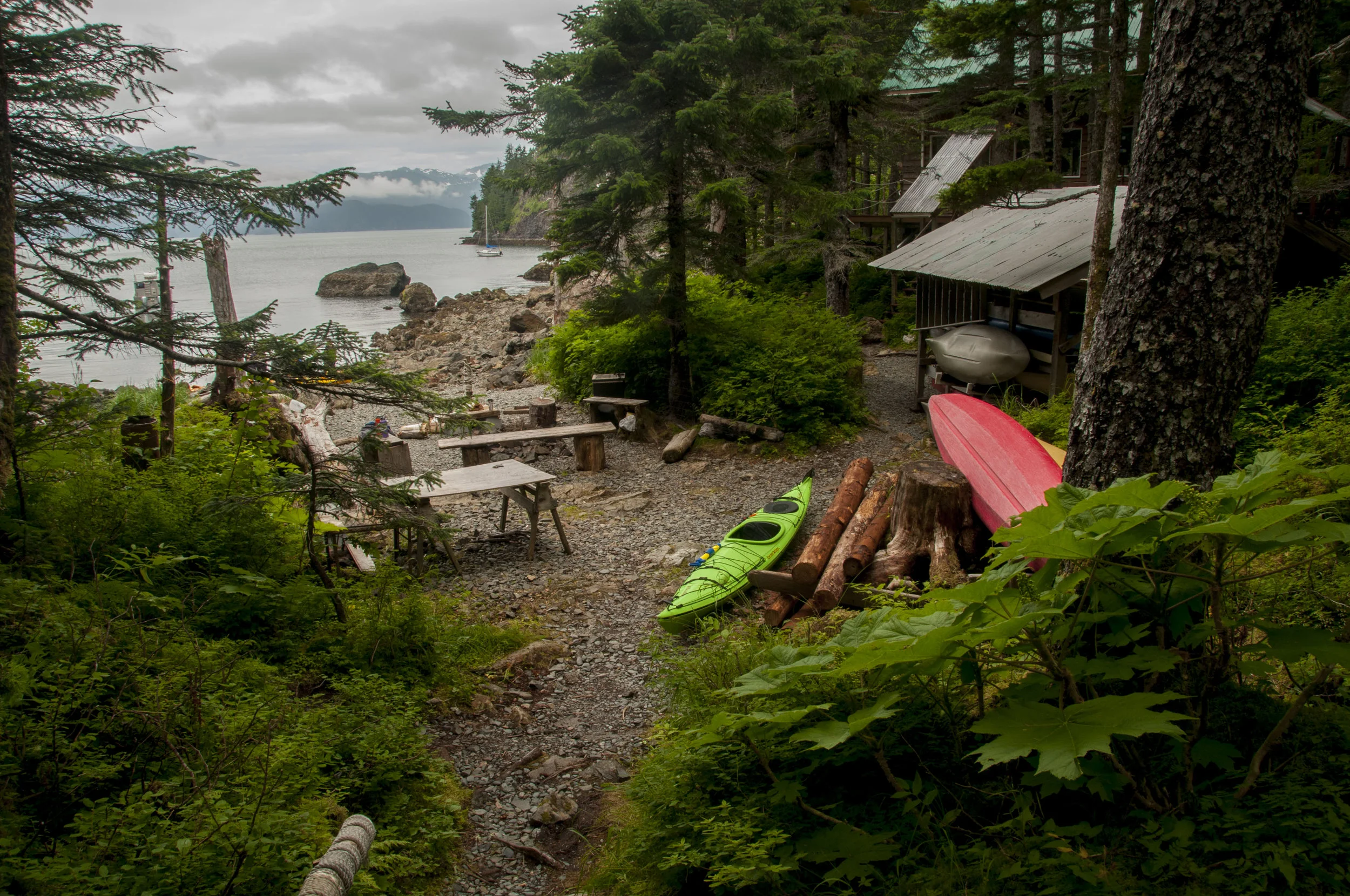 ECarnes_Alaska_2016_4.JPG
