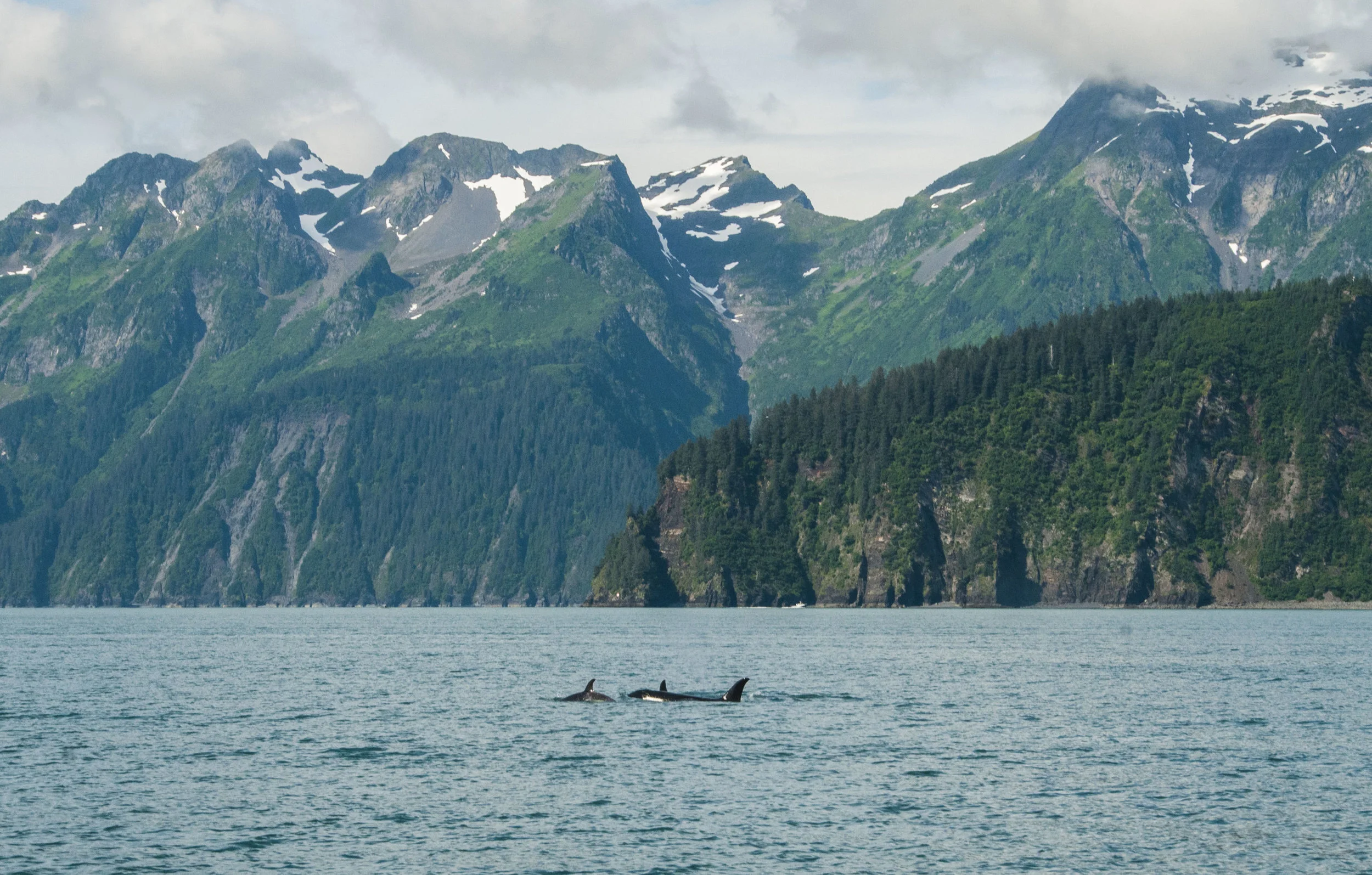ECarnes_Alaska_2016_20.JPG