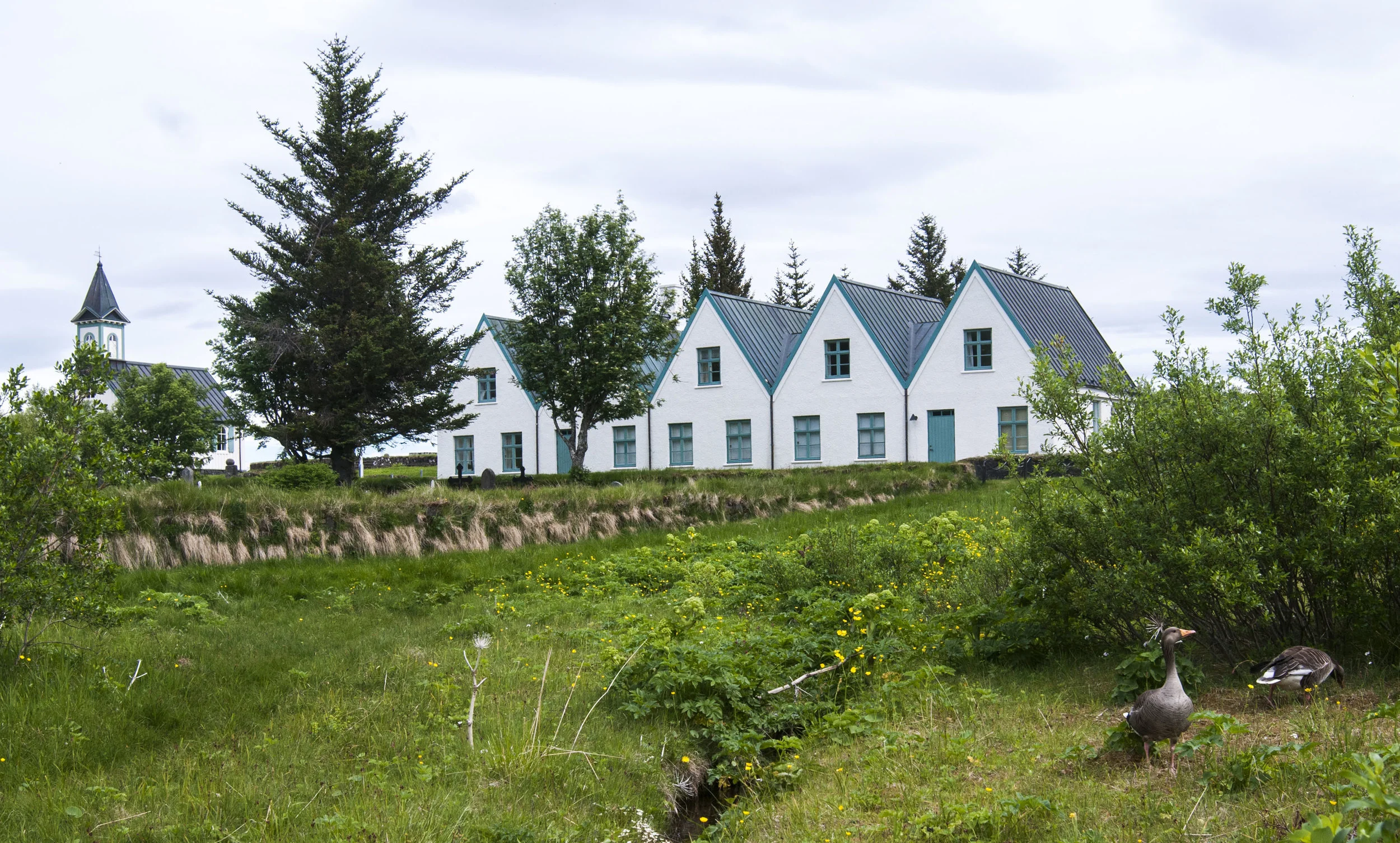 ECarnes_Iceland_2015_26.JPG