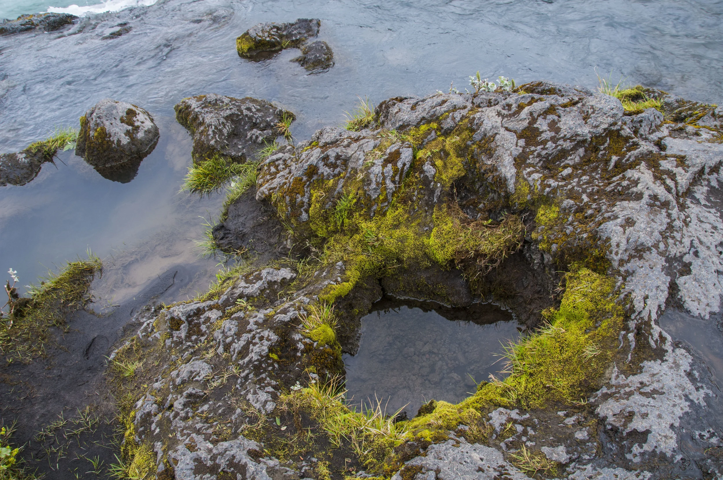 ECarnes_Iceland_2015_36.JPG