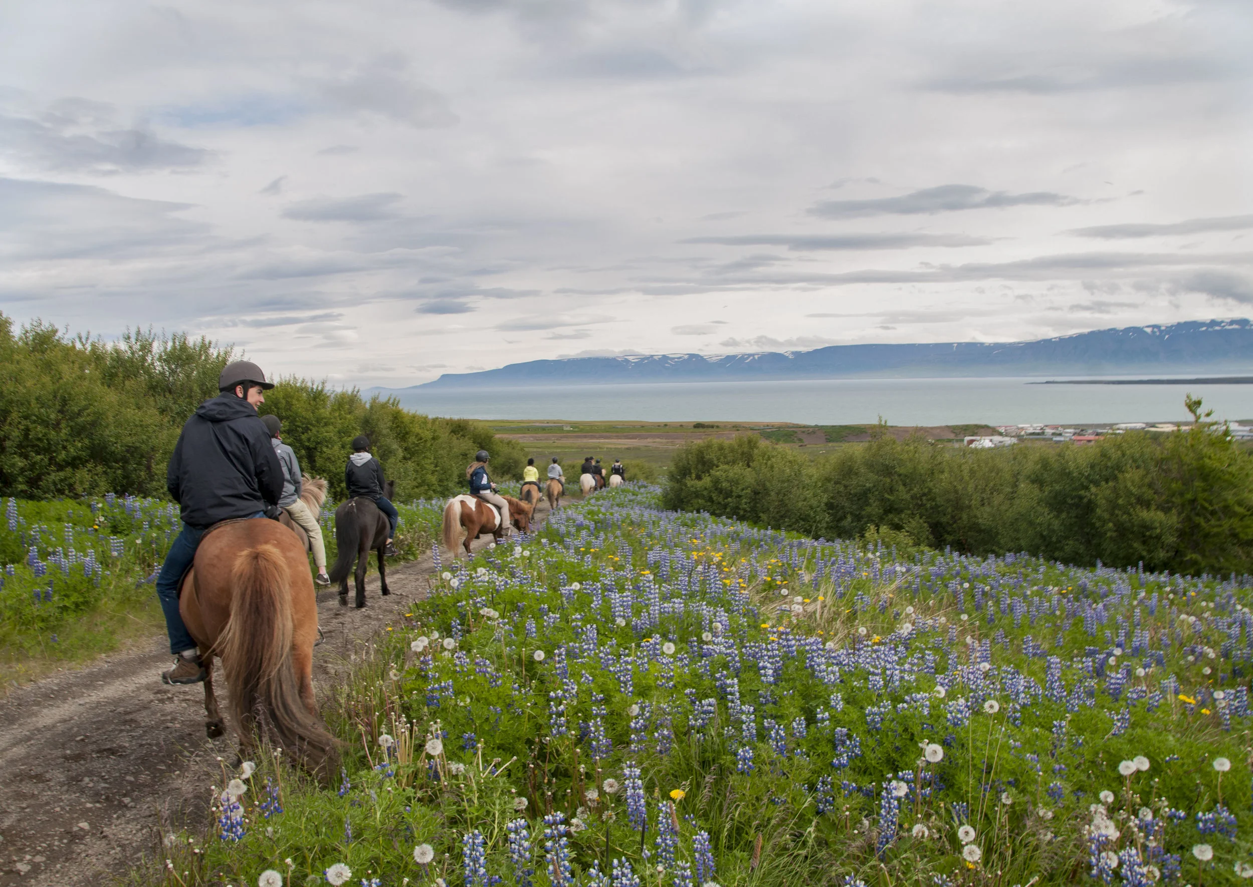 ECarnes_Iceland_2015_38.JPG