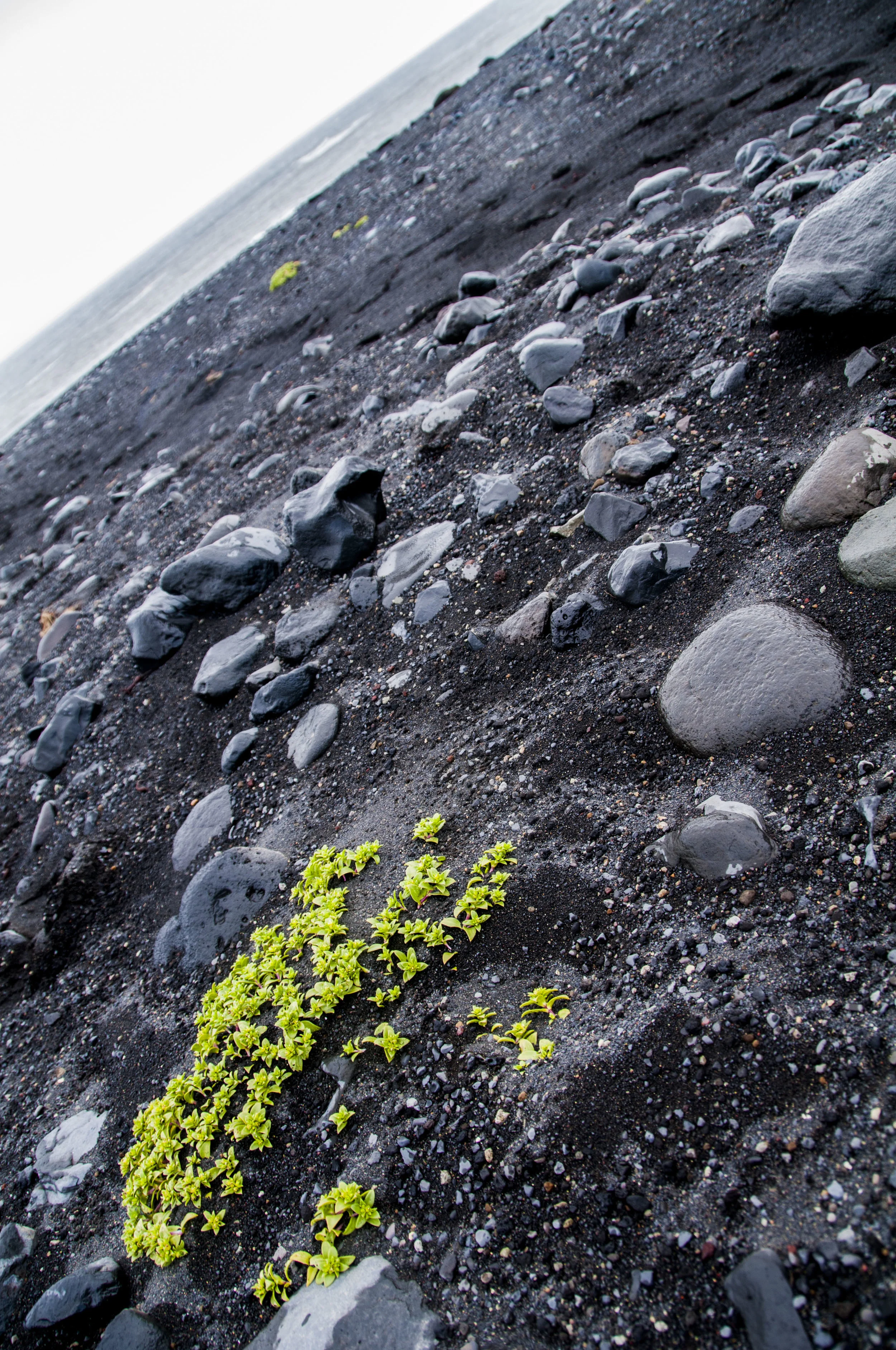 ECarnes_Iceland_2015_60.JPG