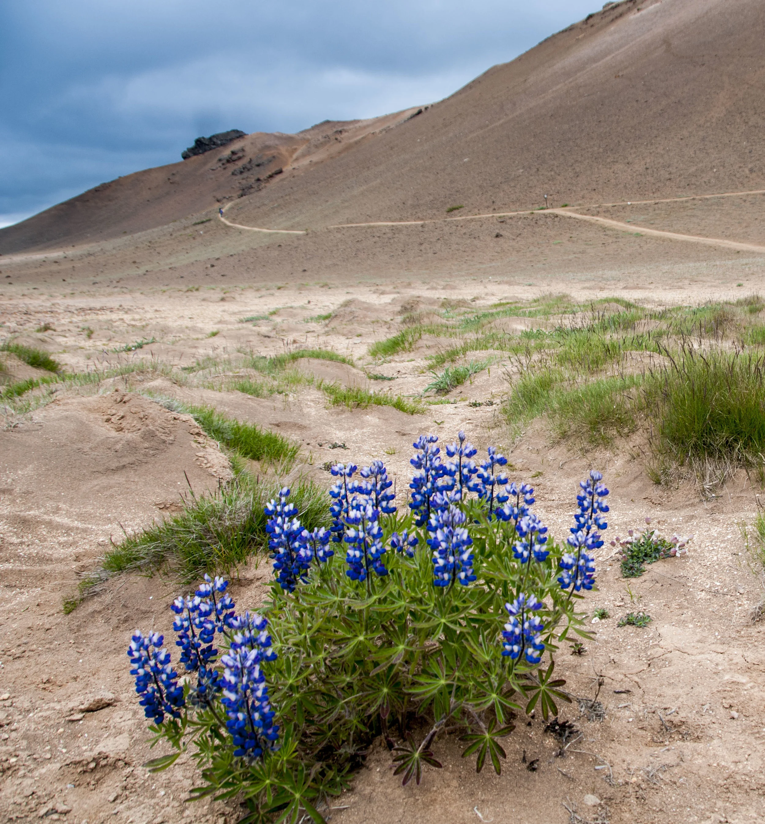 ECarnes_Iceland_2015_65.JPG