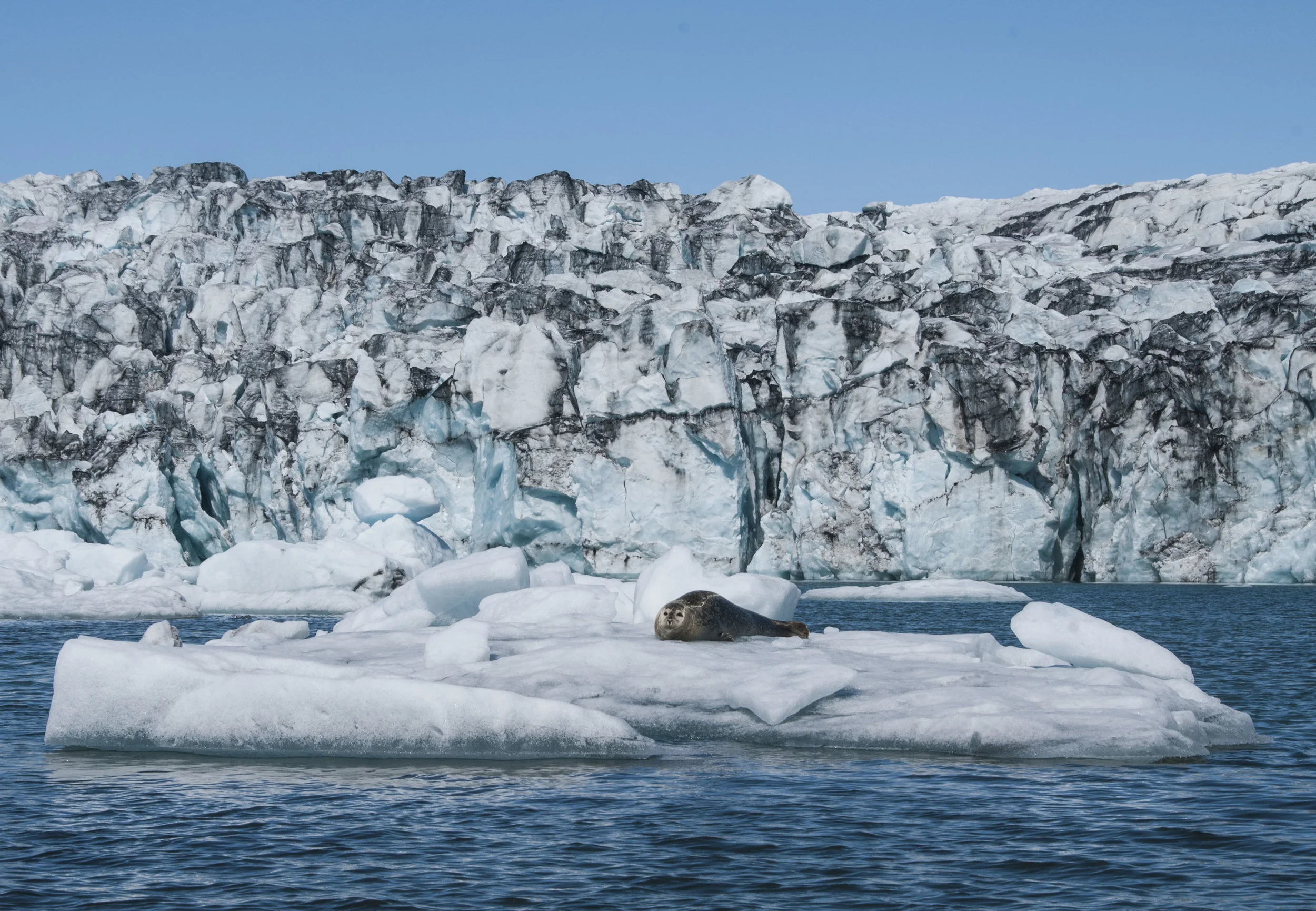 ECarnes_Iceland_2015_88.JPG