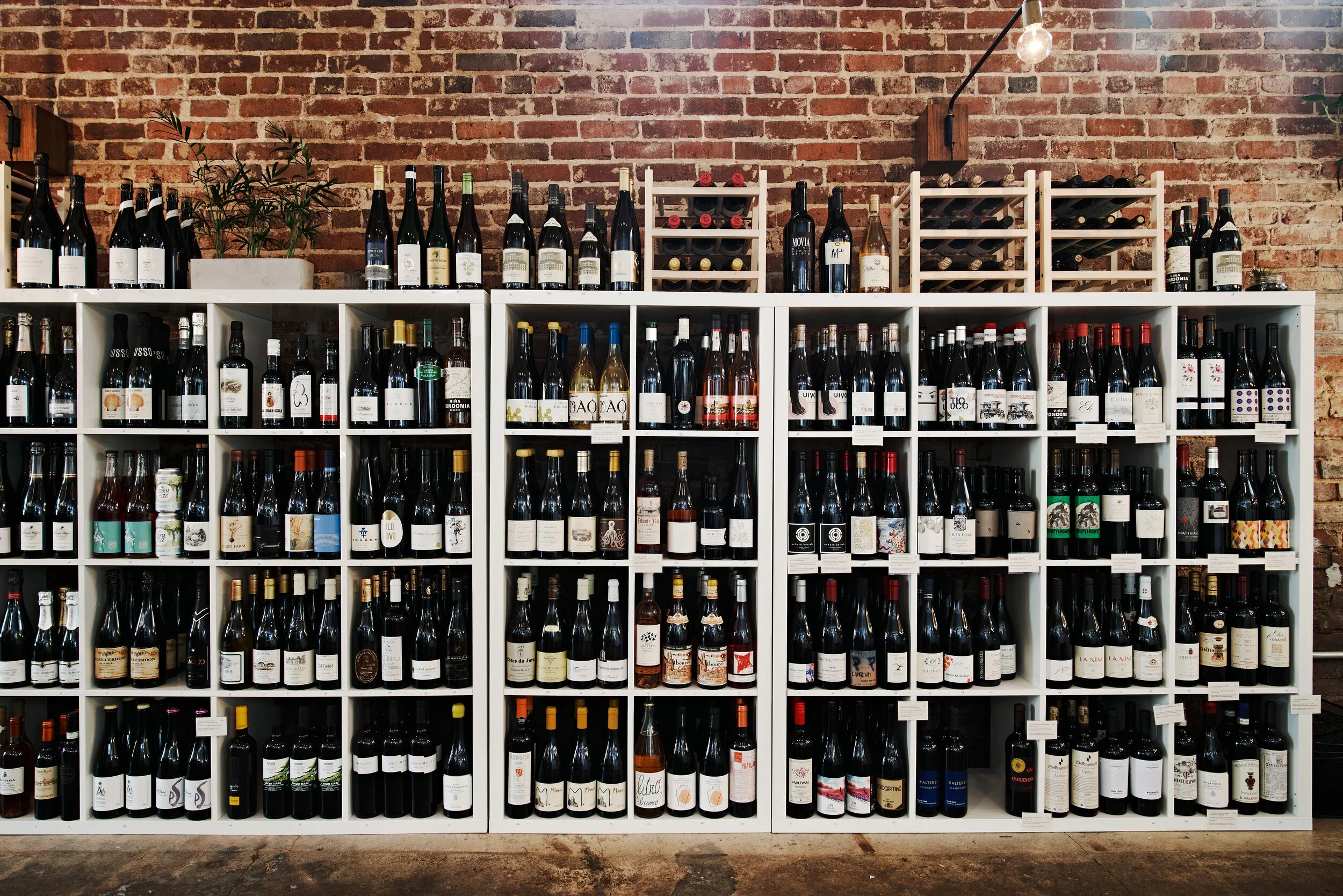 SHMarket__0001.webp