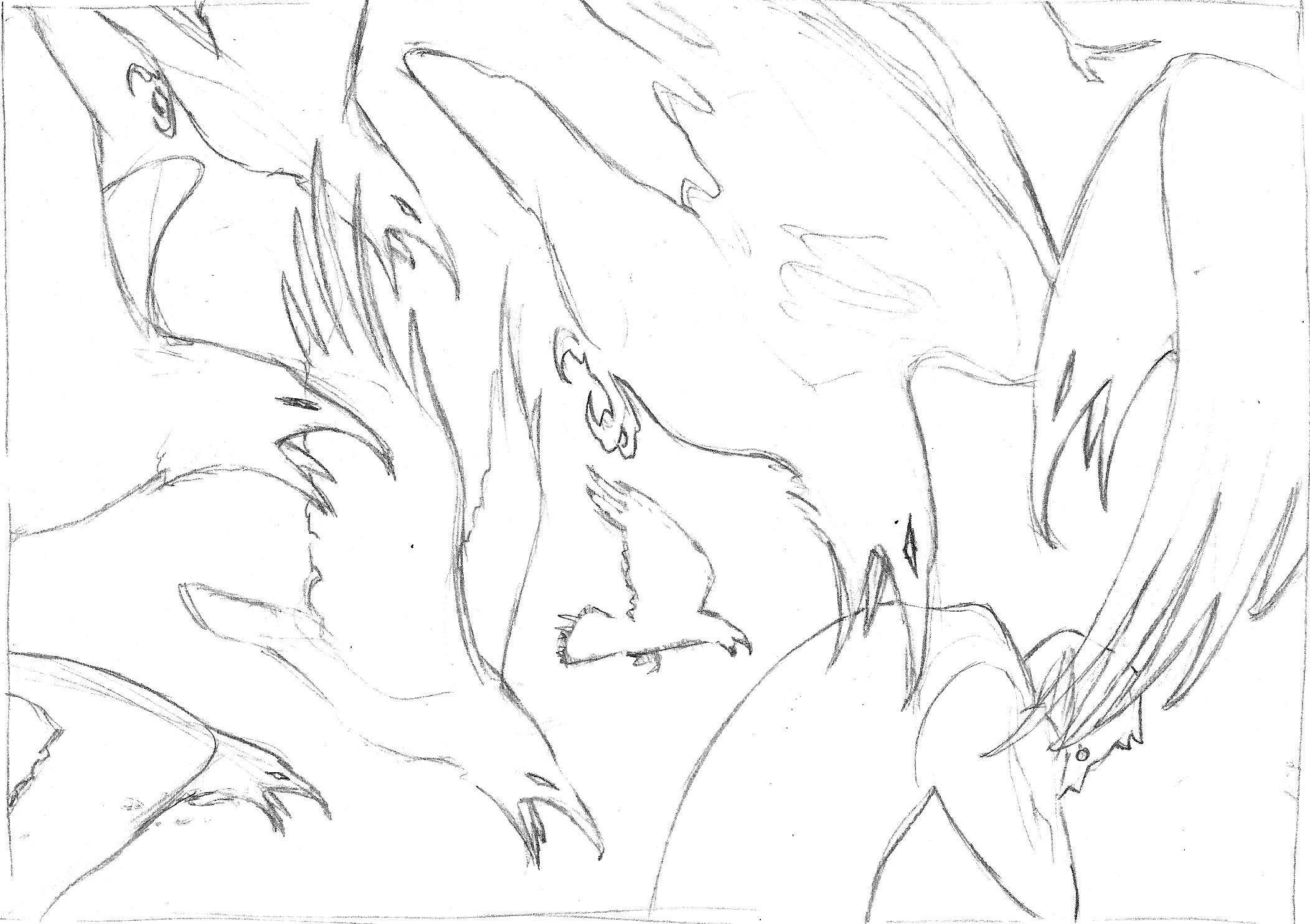 Scanning the drawing into Photoshop, I block in the shapes to better realize the final look.