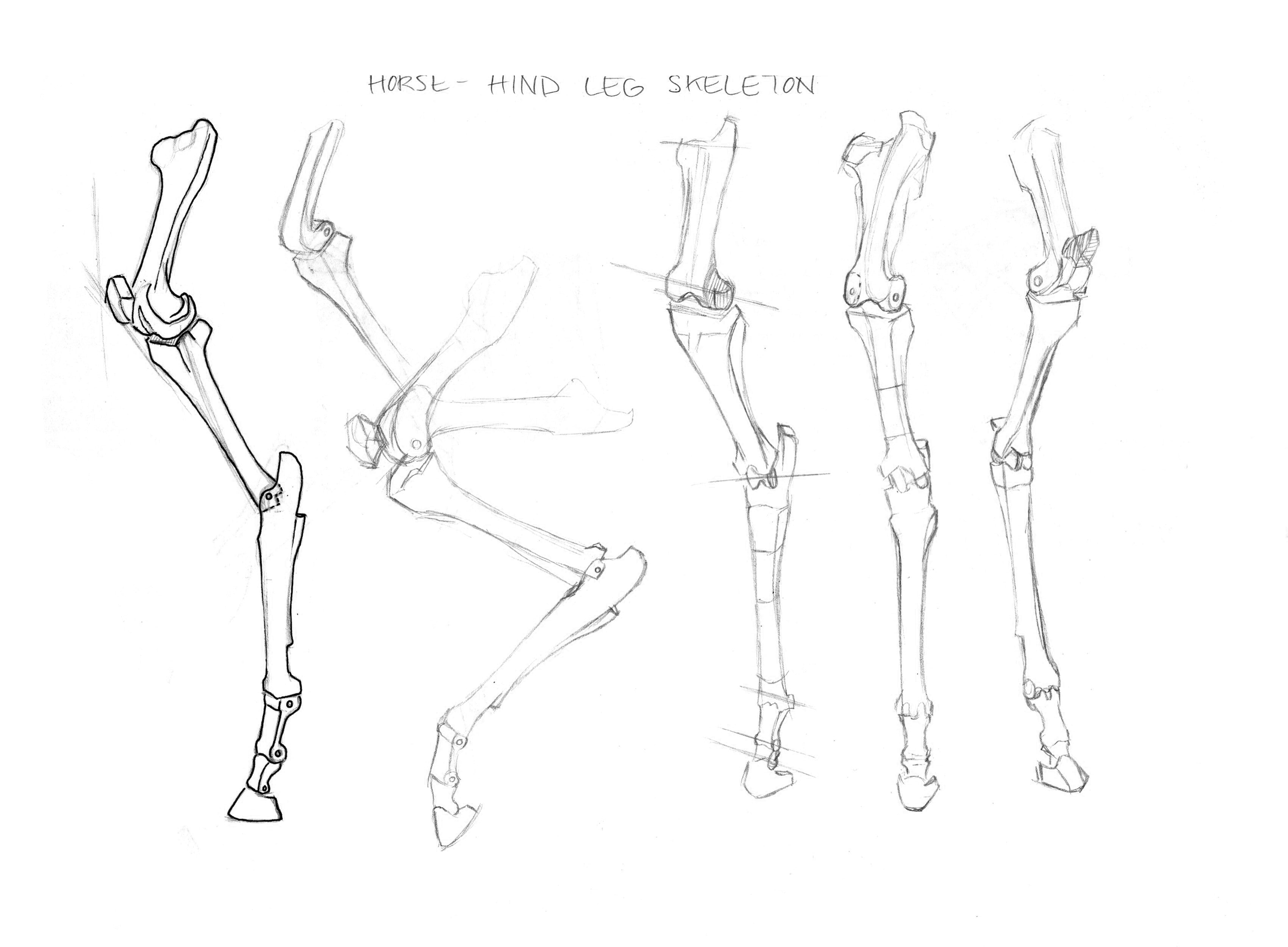 drawing6.jpg
