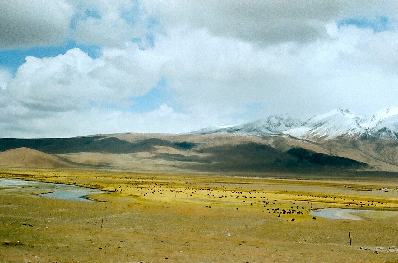 tumblr_mbkfk0eodO1rizb65o1_1280.jpg