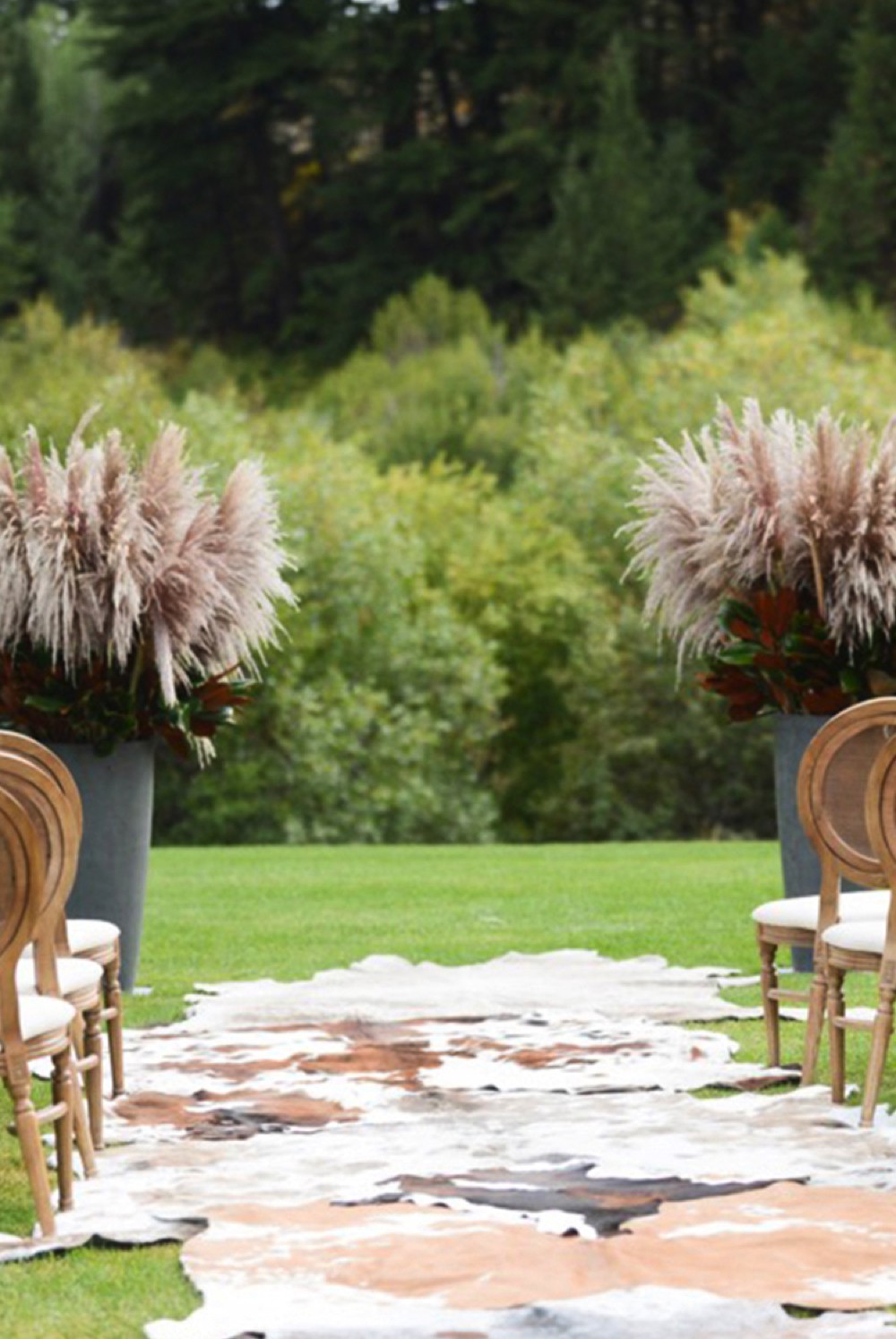 cow hides arranged for a walkway before a wedding.jpg