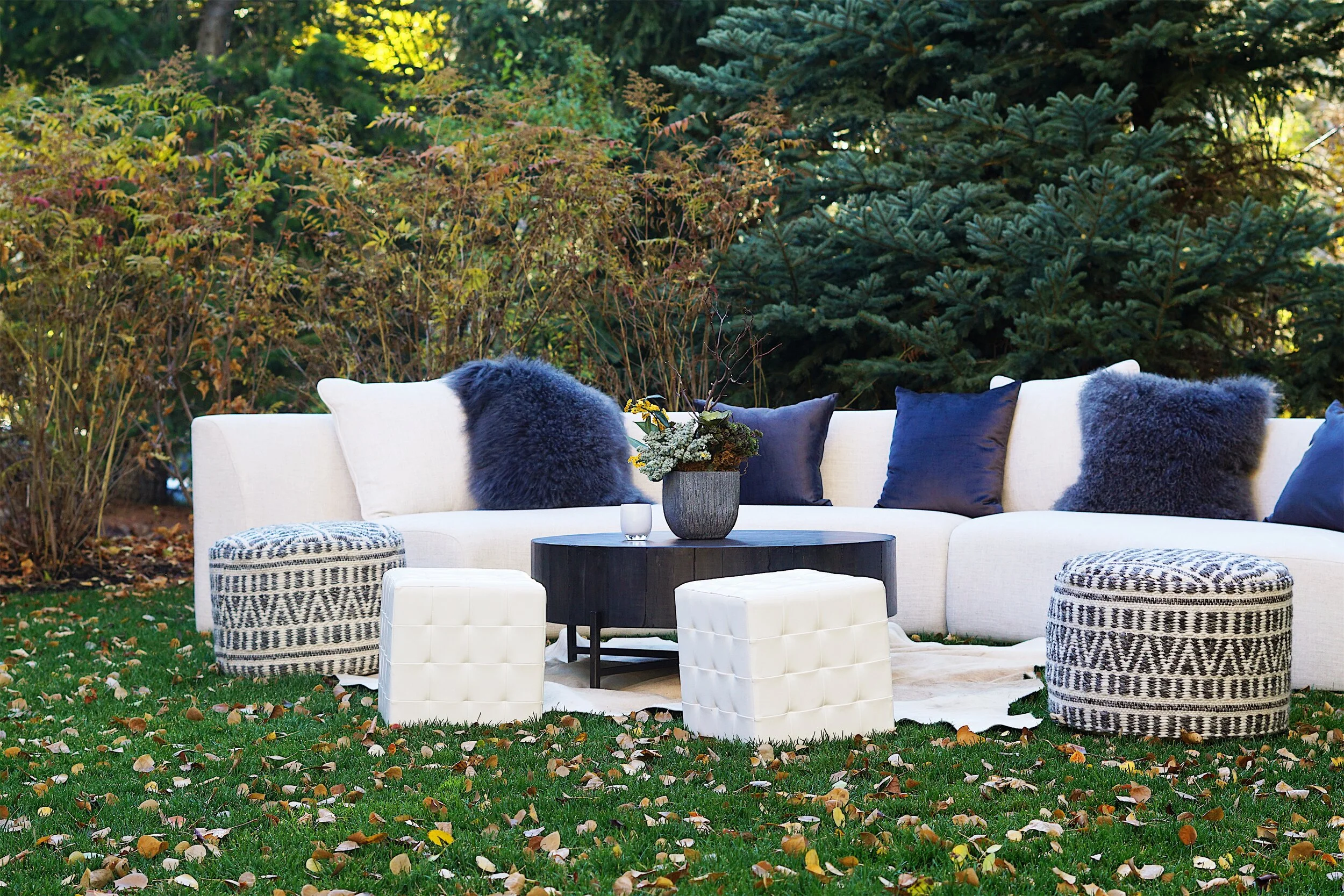 JPEG image-AB2970DD8877-1.jpeg