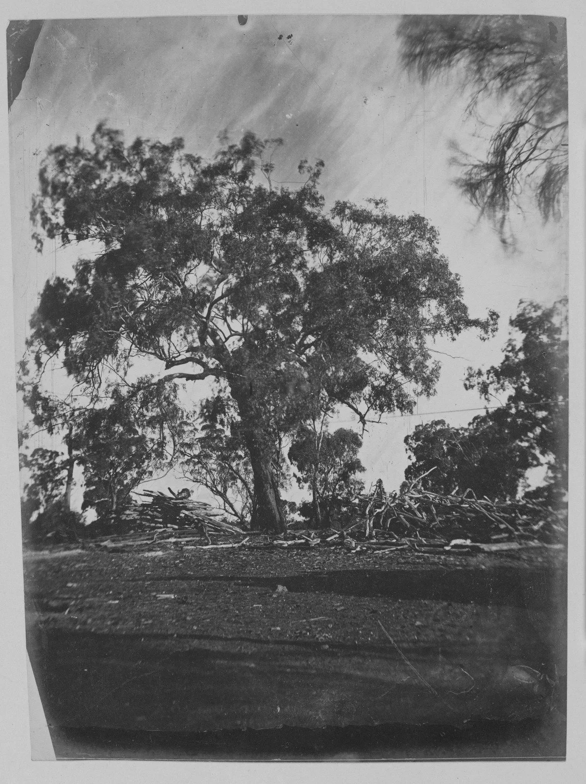  Photograph by John Hunter Kerr, 1850s  