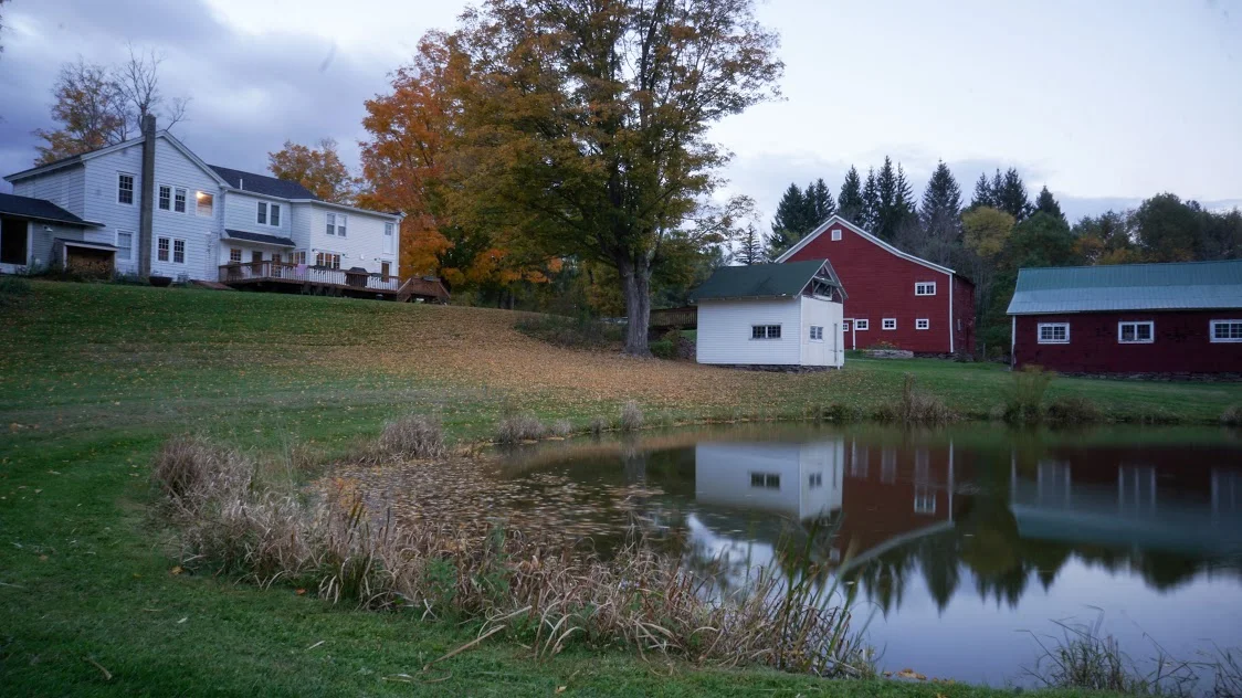 house and pond.jpg